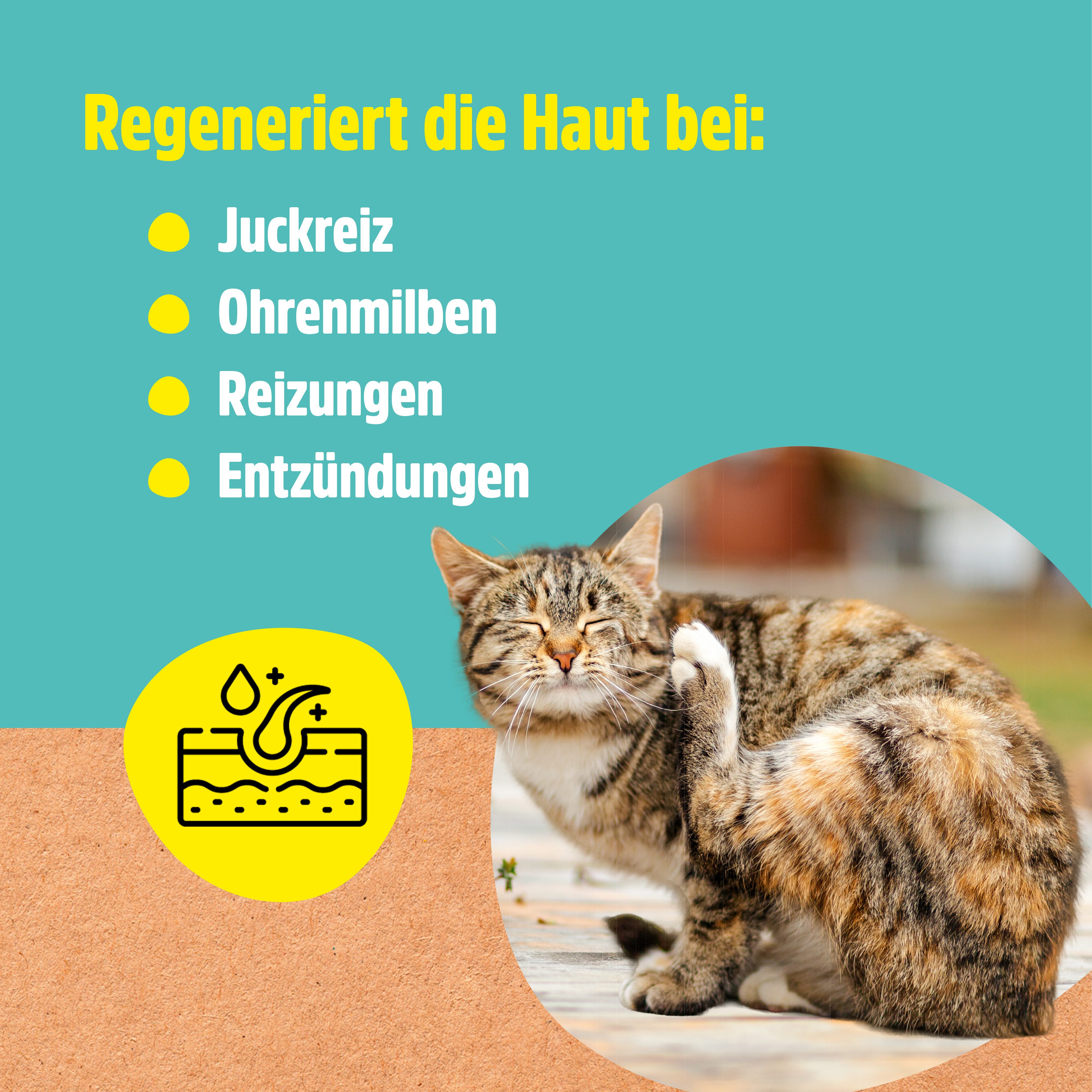 GreenHero Ohrenreiniger Ohrenwunder gegen Ohrmilben & Juckreis, 1-tlg., Ohrenpflege für Hund & Katze, bei Ohrmilben, Juckreiz, Entzündungen