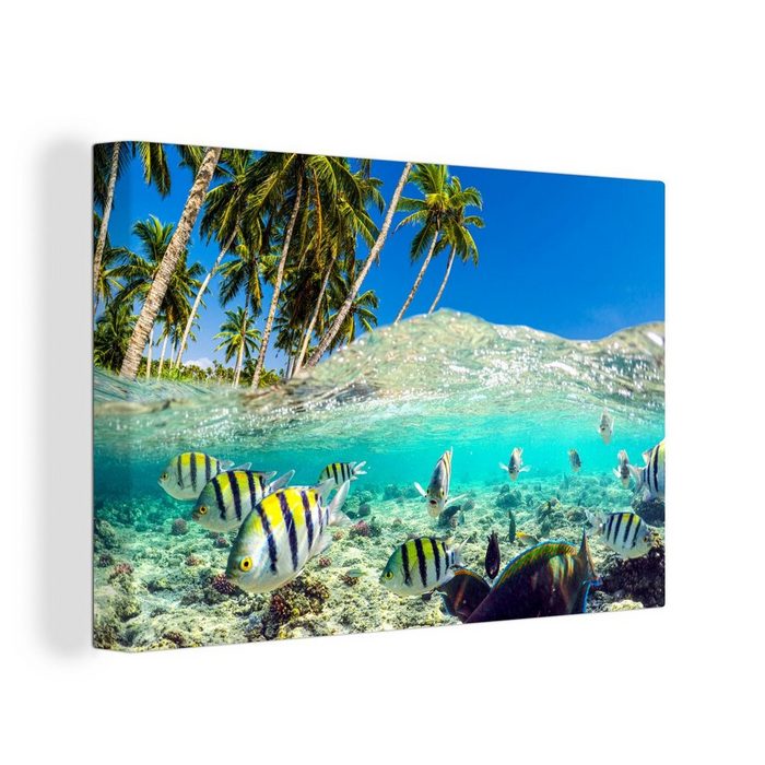 OneMillionCanvasses® Leinwandbild Strand - Fische - Farben (1 St) Wandbild Leinwandbilder Aufhängefertig Wanddeko
