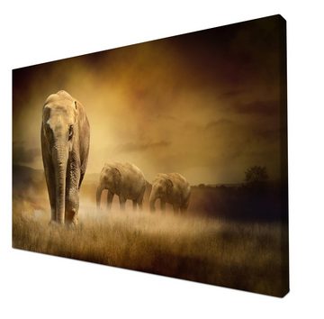 wandmotiv24 Leinwandbild Steppenelefant Afrika, Tiere (1 St), Wandbild, Wanddeko, Leinwandbilder in versch. Größen