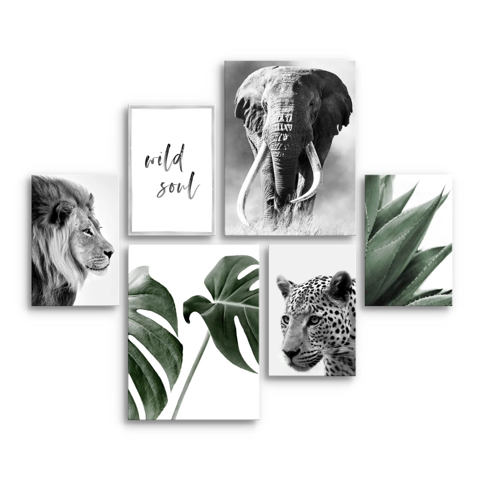 Novart Wandbild Afrika Tiere Löwe Elefant Bilder Set AUFHÄNGFERTIG günstig online kaufen