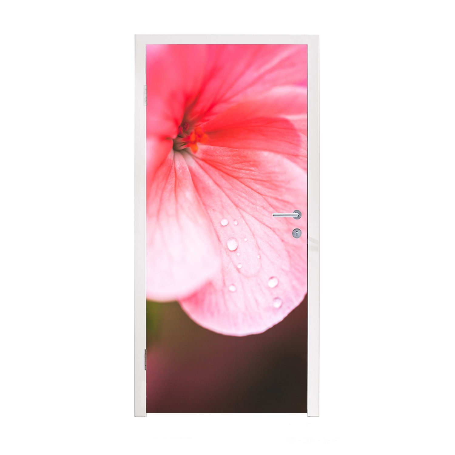 Türtapete der MuchoWow Geranie, bedruckt, St), für Fototapete Wassertropfen Matt, auf (1 Tür, cm Türaufkleber, 75x205 rosa