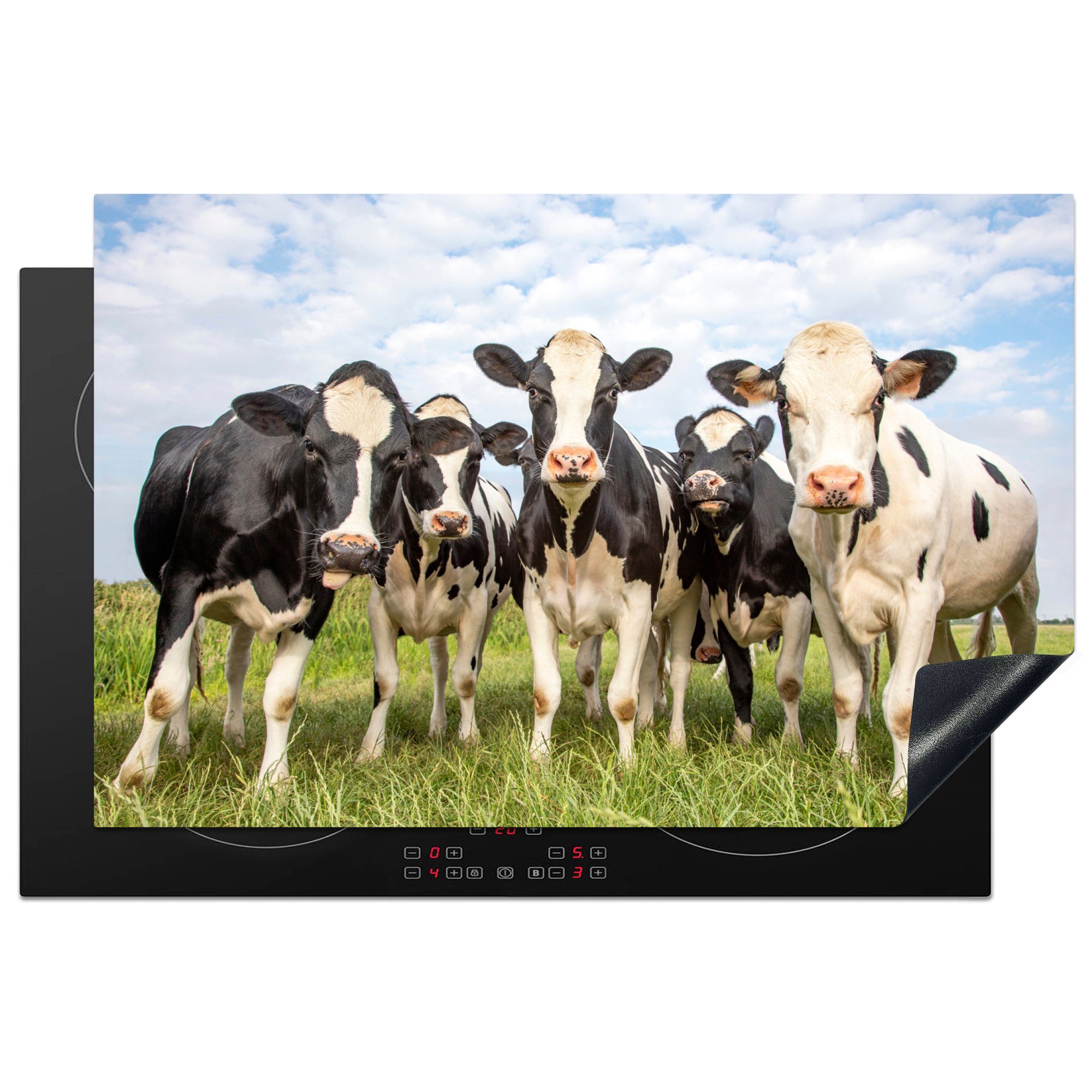 MuchoWow Herdblende-/Abdeckplatte Kühe - Weide - Tiere - Natur - Gras, Vinyl, (1 tlg), 81x52 cm, Induktionskochfeld Schutz für die küche, Ceranfeldabdeckung
