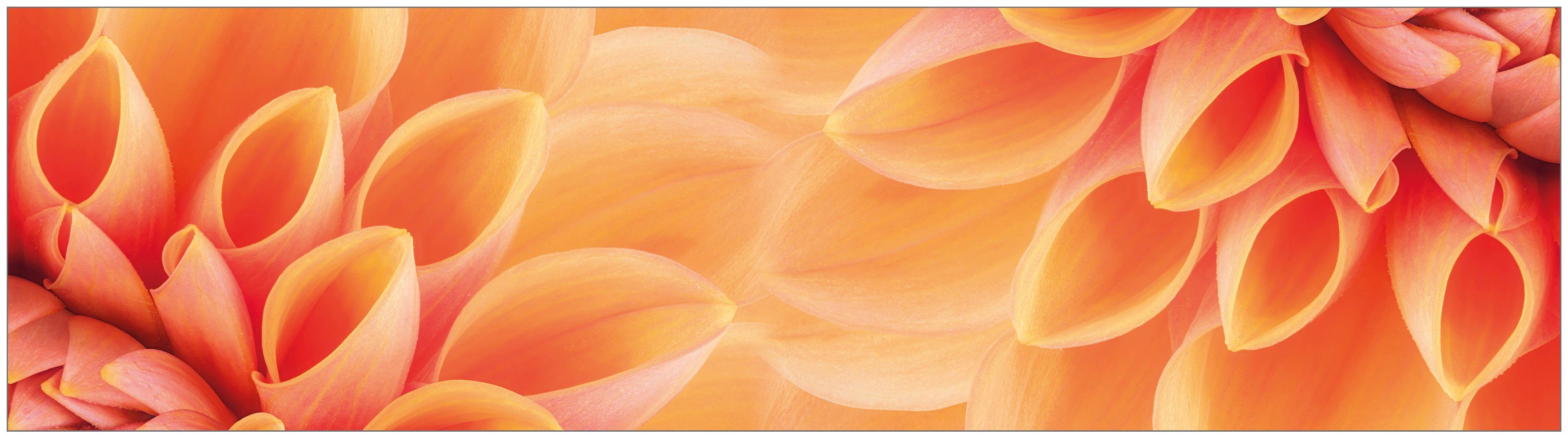 Tulpen-Rose Shabby Holzoptik Smart 40 x 140 cm Bilderwelten K/üchenr/ückwand Panorama Folie
