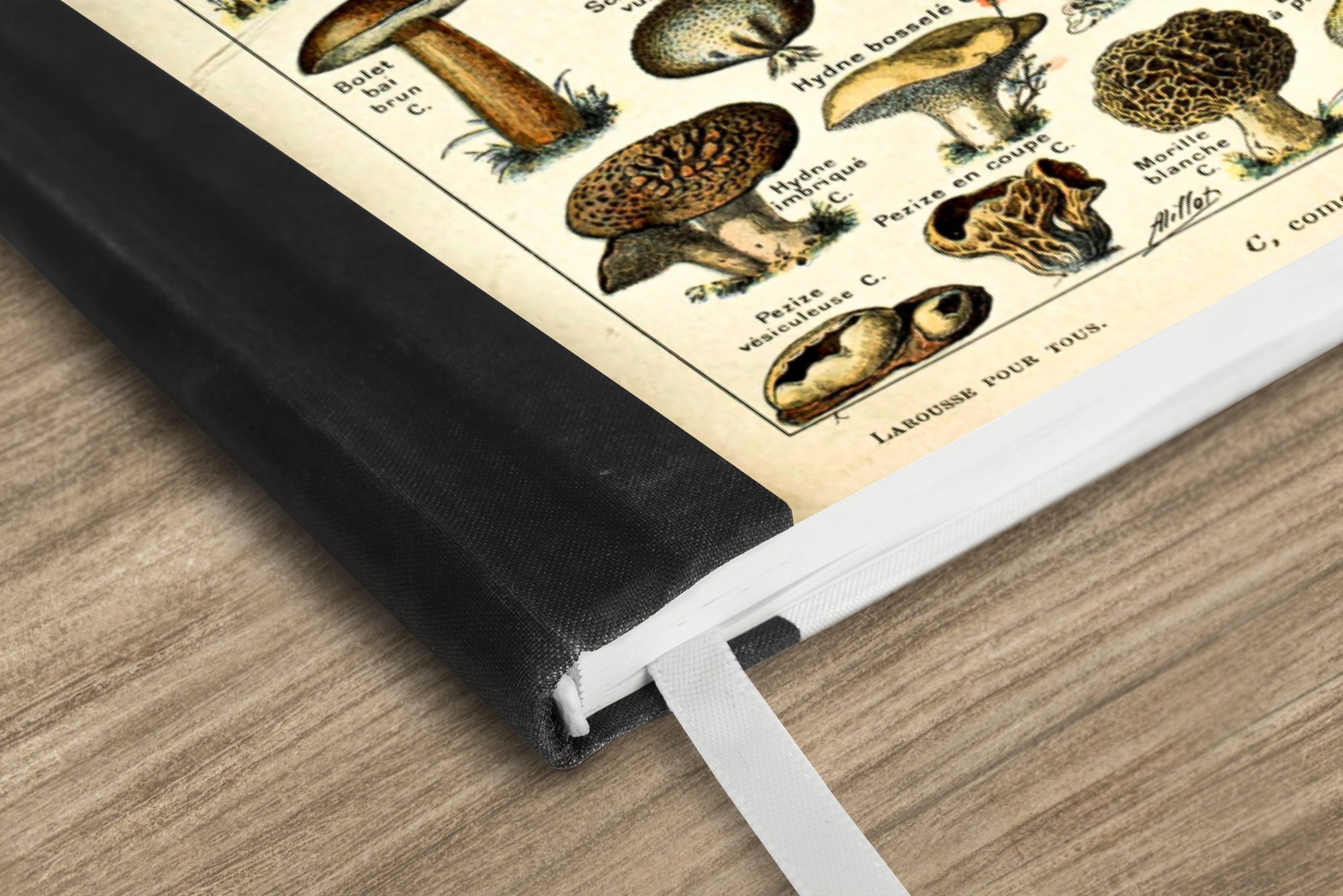Thumbnail - MuchoWow Notizbuch Pilz - Herbst - Jahreszeiten - Vintage - Adolphe Millot - Natur, Notebook, Notizblock a5, Tagebuch, J...