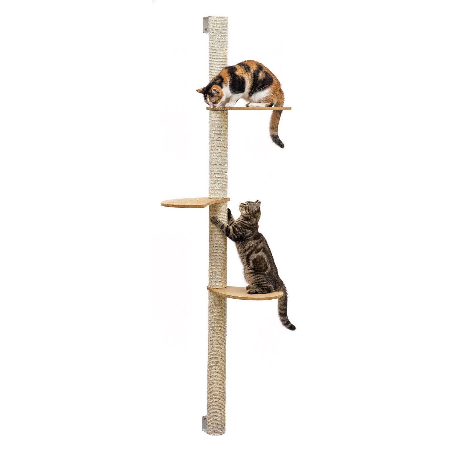 eyepower Kratzbaum zur Wandmontage-170 cm Wandkratzbaum für Katzen mit 3 Bambus Plateaus, Sistammstamm Wand - Katzenkratzbaum platzsparend - Kletterwand Katze