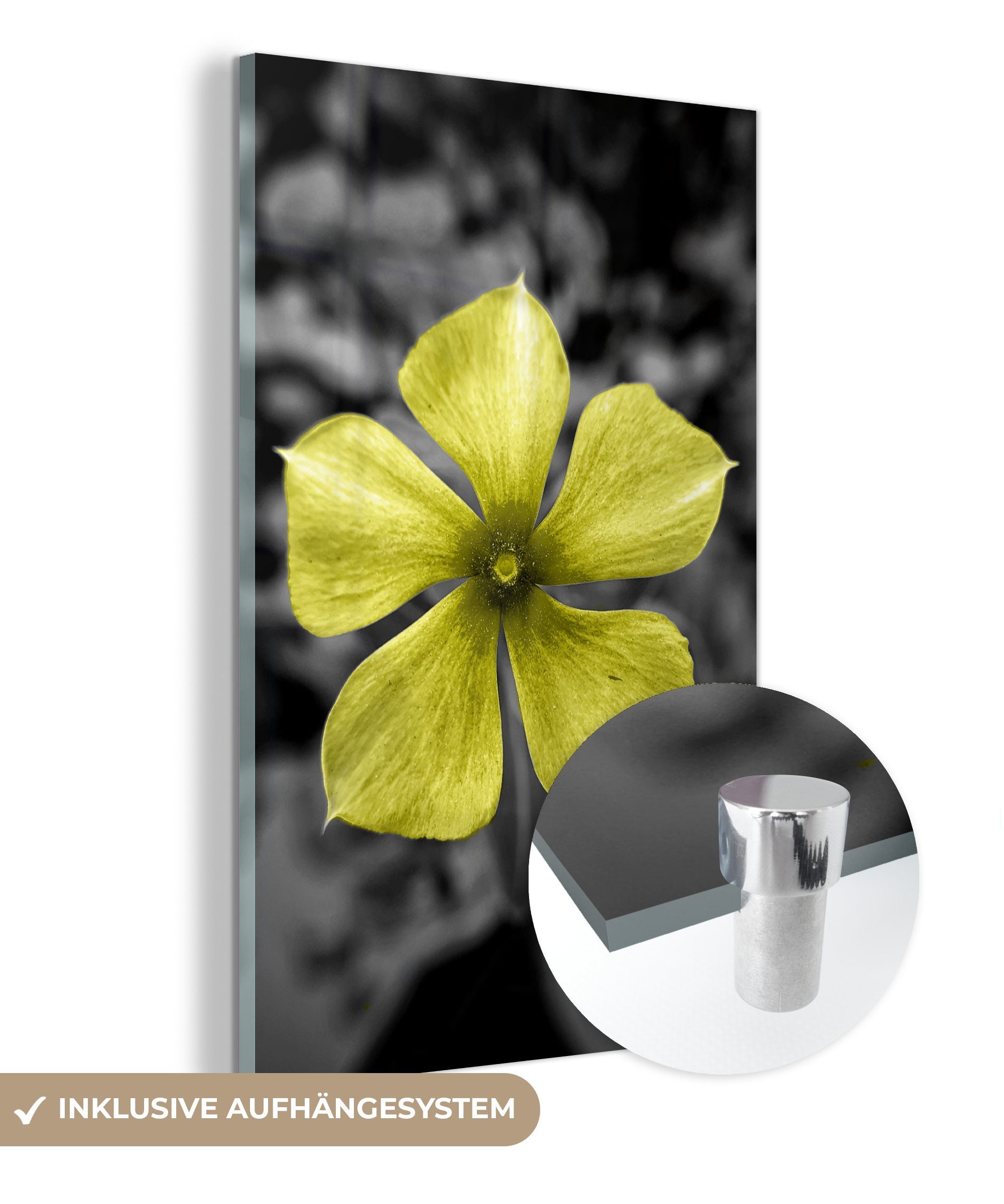 MuchoWow Acrylglasbild Blumen - Gelb - Schwarz - Weiß, (1 St), Glasbilder - Bilder auf Glas Wandbild - Foto auf Glas - Wanddekoration