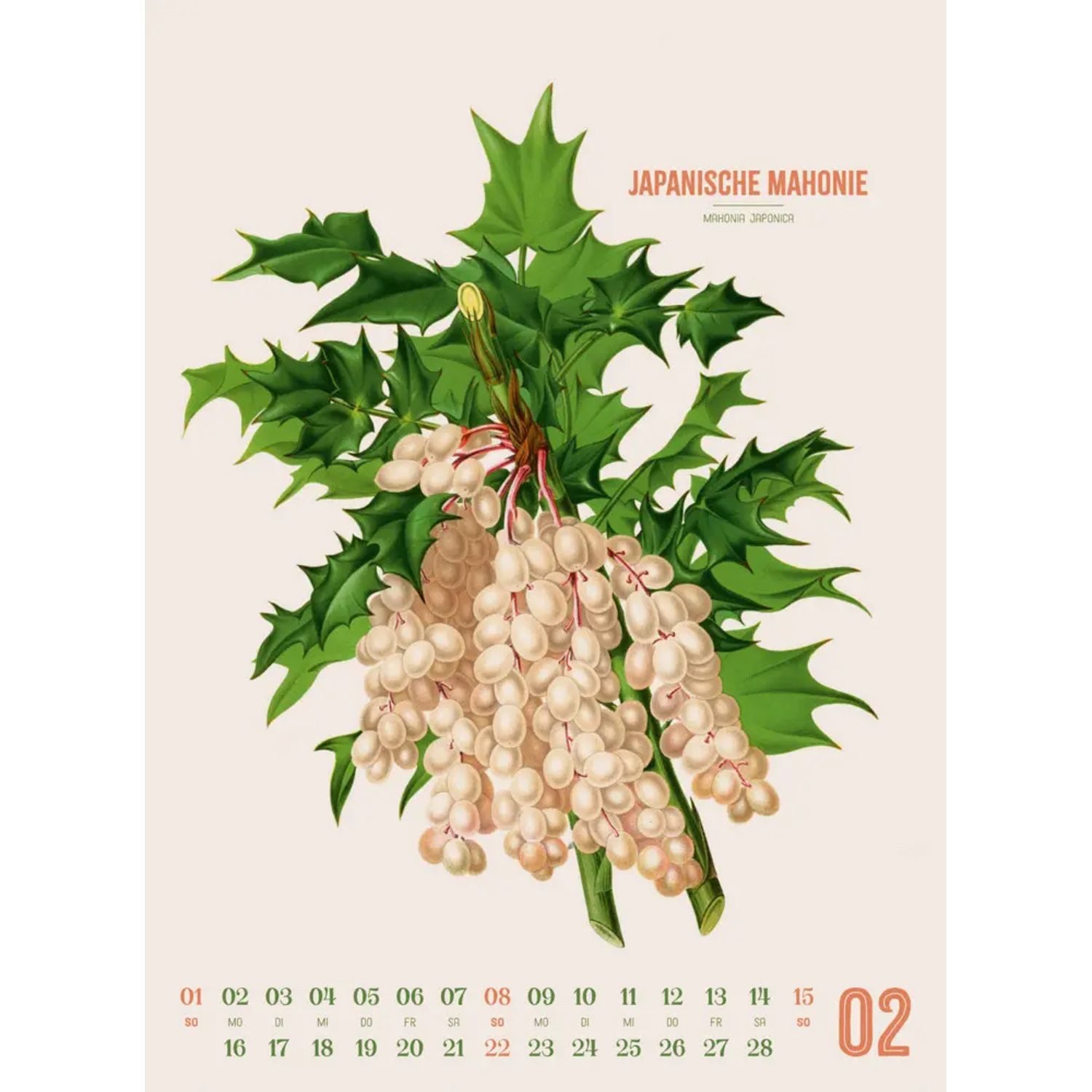 Ackermann Wandkalender Obstgarten Kalender 2026, Apfel, Birne, Pflaume & Co.