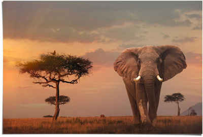 Reinders! Poster »Afrikas Wildtiere Elefant«, (1 St)