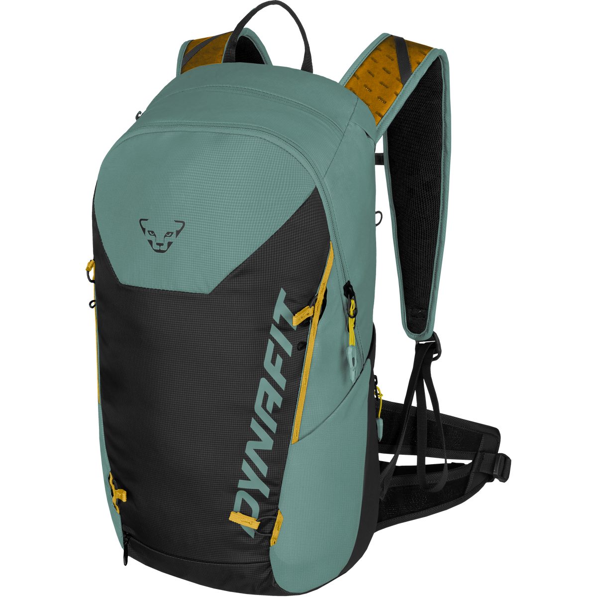 Dynafit Rucksack Transalper 24 Rucksack Unisex - Dynafit