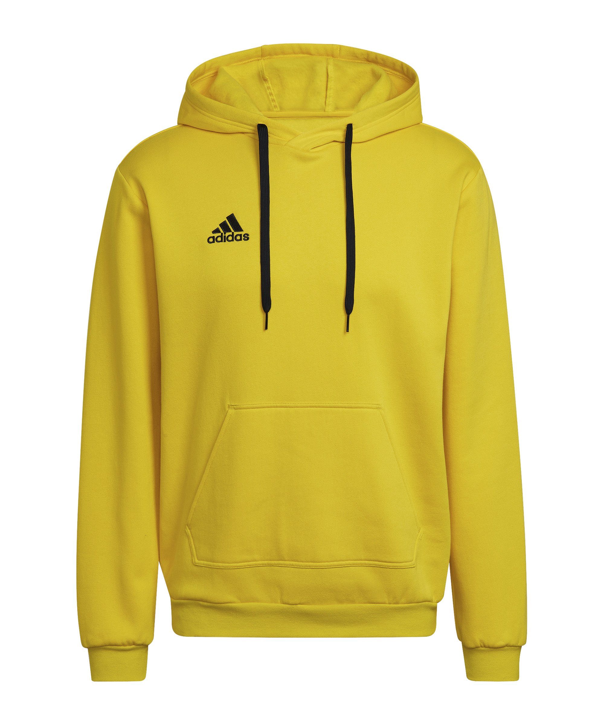 adidas Performance Sweatshirt Entrada 22 Hoody