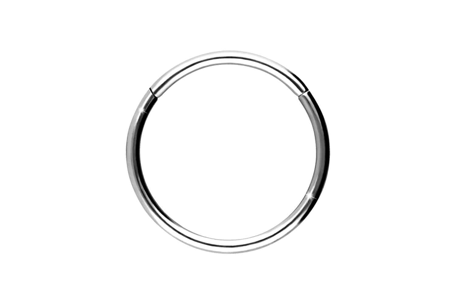 Nasenpiercing Titan Segmentring Clicker Ohrpiercing Septum Nase