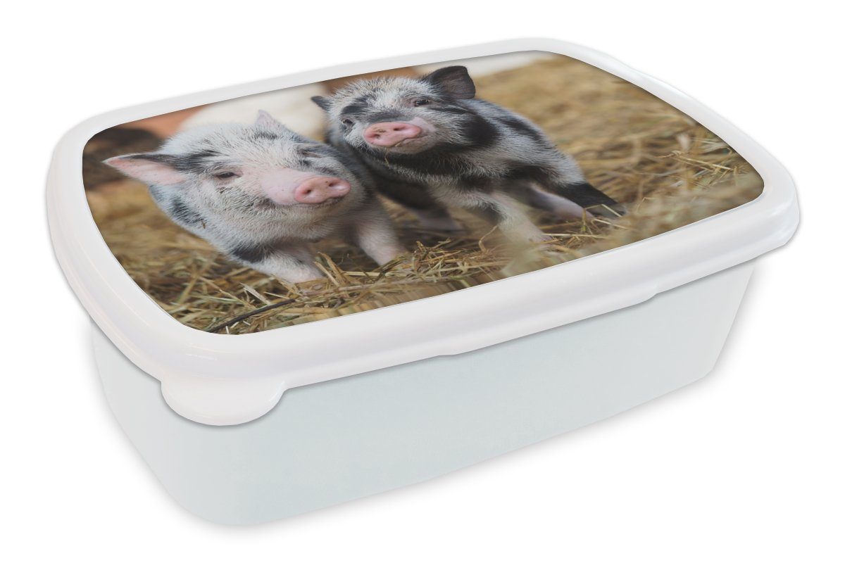 MuchoWow Lunchbox Schwein - Tiere - Ferkel, Kunststoff, (2-tlg), Brotbox für Kinder und Erwachsene, Brotdose, für Jungs und Mädchen weiß