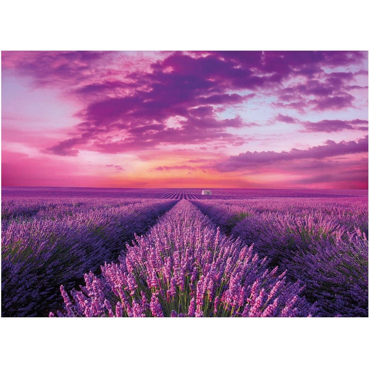 Puzzle Feld, Clementoni® Puzzleteile 1000 Lavendel