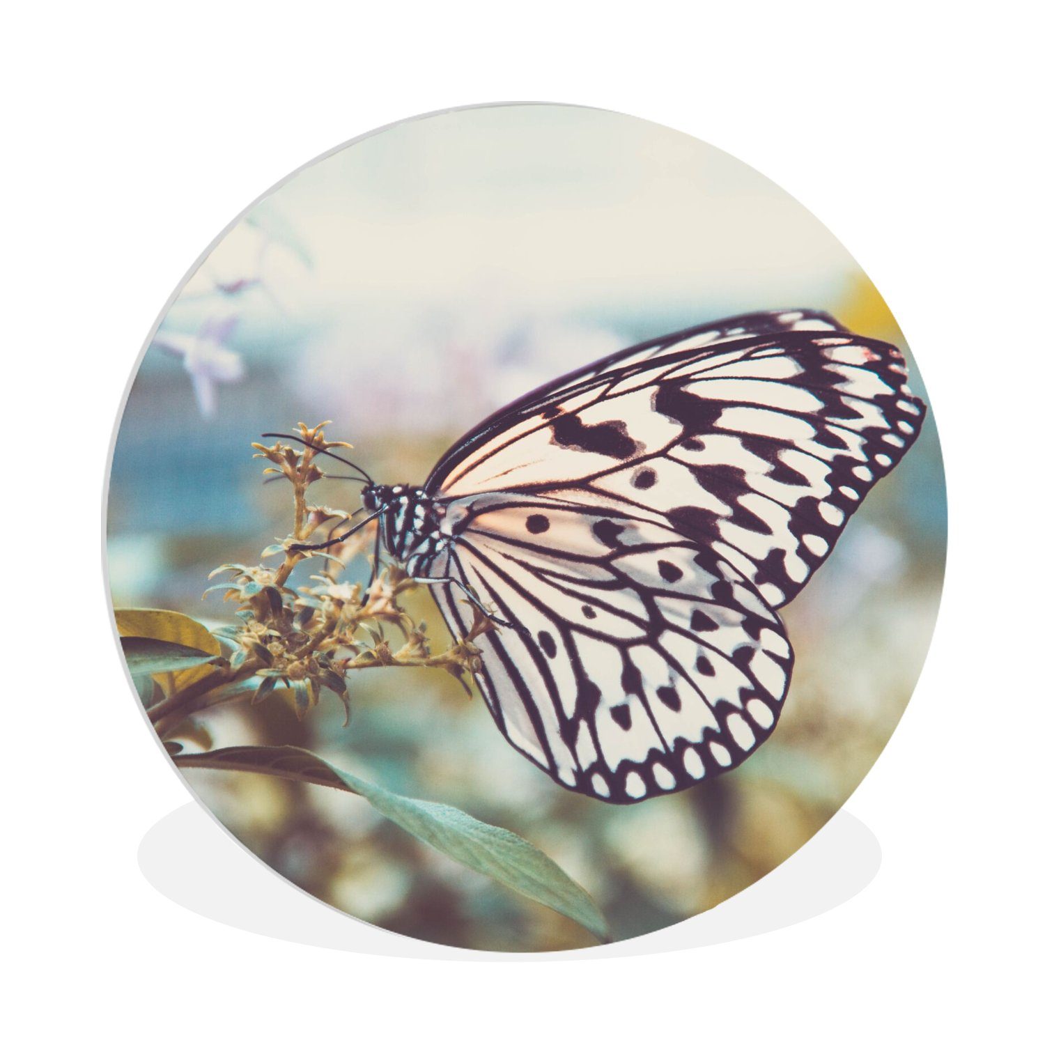 MuchoWow Gemälde Schmetterling - Blumen - Frühling, (1 St), Kreis Wanddekoration Forex, Rundes Wandbild, Wohnzimmer, 30x30 cm