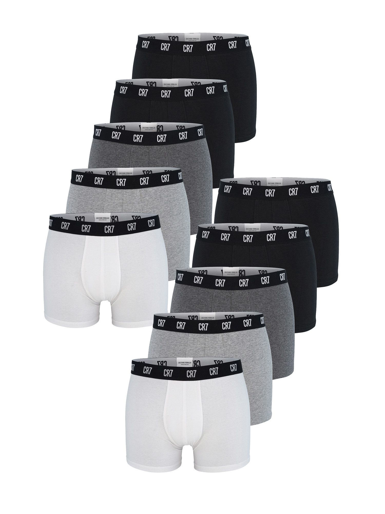 Boxer Basic Trunk