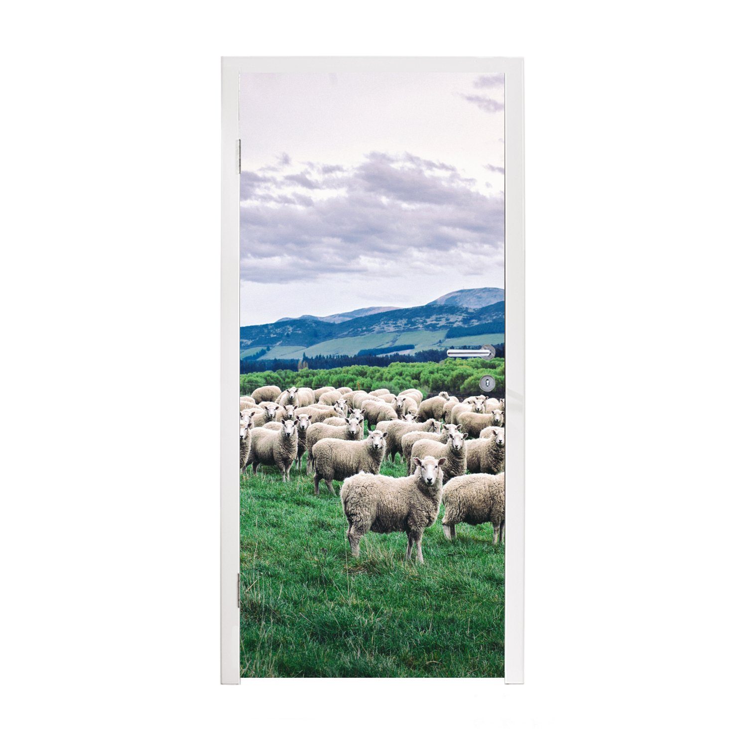 Natur - St), MuchoWow Gras, Türaufkleber, Tür, Matt, (1 für bedruckt, 75x205 - Schafe Fototapete Türtapete cm