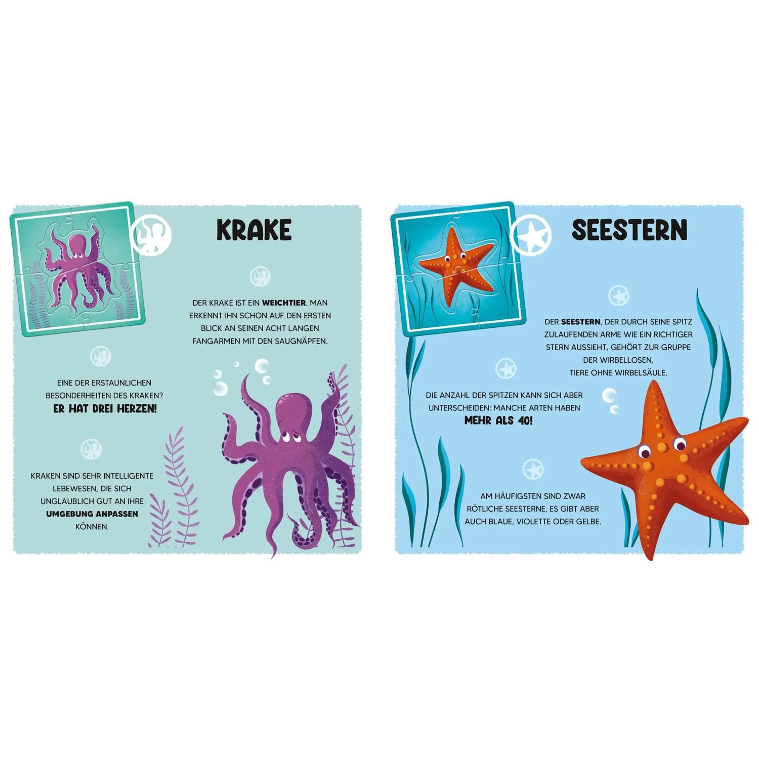 Star Puzzle Mini-Puzzle Der Ozean, Puzzleteile