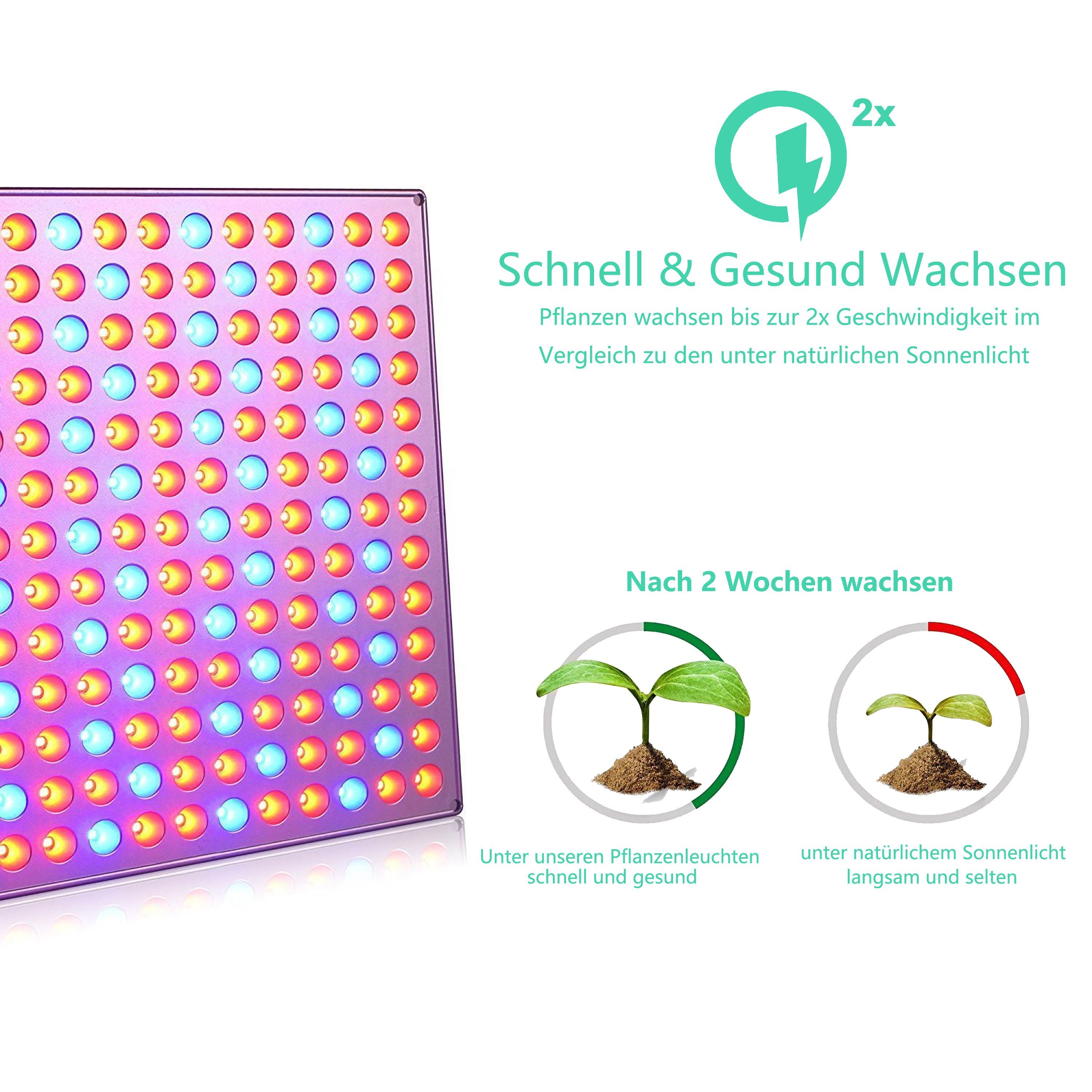 225 Veg Grow Tent Grow Greenhouse 15W Rot Clanmacy Flower, Pflanzenlampe Seeding für und Hydroponic, & Indoor Vollspektrum LEDs Lampe Blau LED Pflanzenlicht Pflanzenlampe