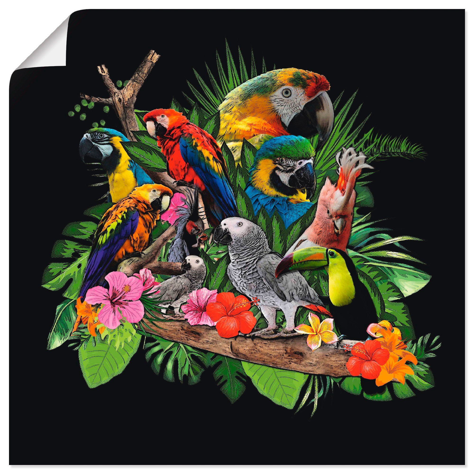 Kakadu Artland Papageien St), oder in Größen Vögel Graupapagei Wandbild als Alubild, versch. Dschungel, Leinwandbild, (1 Poster Wandaufkleber