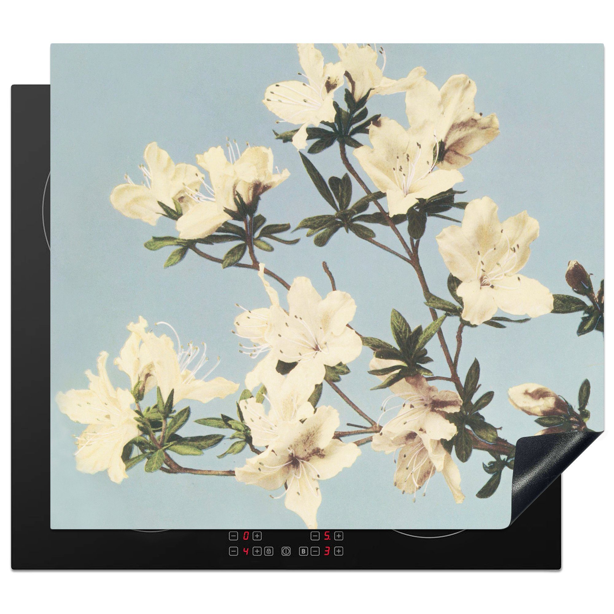 - Vinyl, - cm, Herdblende-/Abdeckplatte 60x52 (1 Ceranfeldabdeckung Weiß Natur, tlg), Blumen Vintage nutzbar, Mobile MuchoWow - Arbeitsfläche