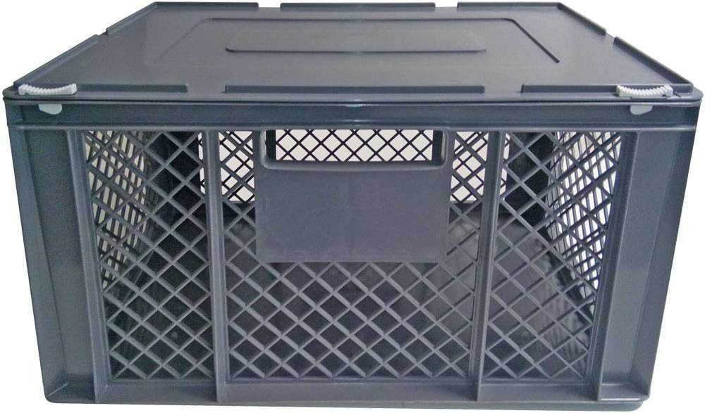 BRB-Lagertechnik Tiertransportbox XL Transportbox für Kleintiere/Katzen/Kl. Hunde, mit Scharnierdeckel, Großvolumige Transportbox für Kleintiere