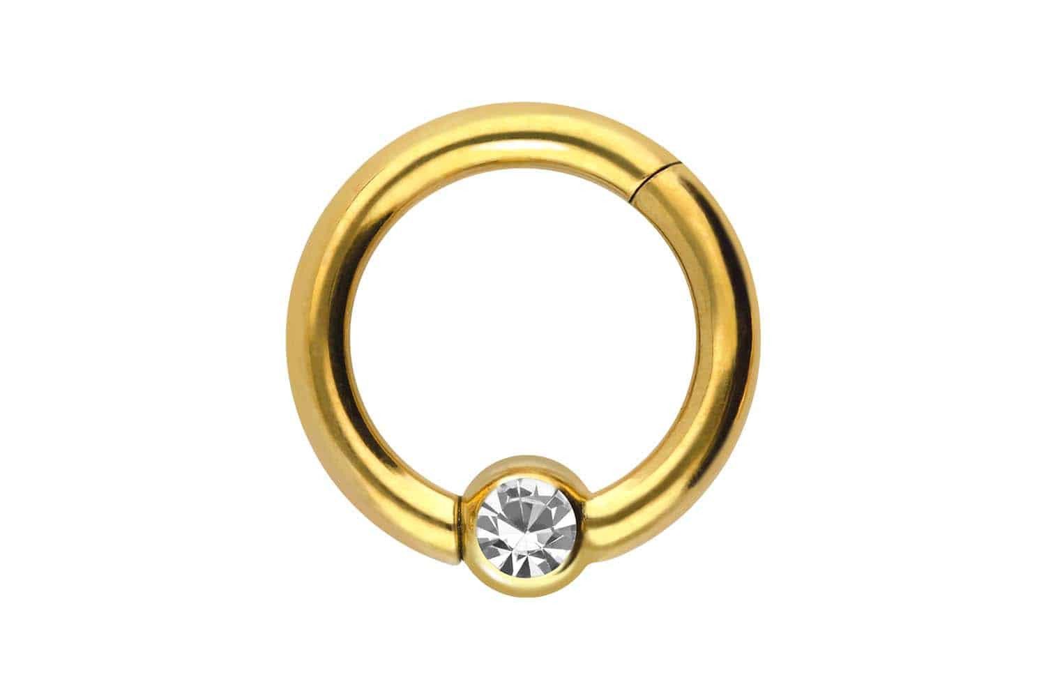 PIERCINGLINE Nasenpiercing Titan Segmentring Clicker KRISTALL günstig online kaufen