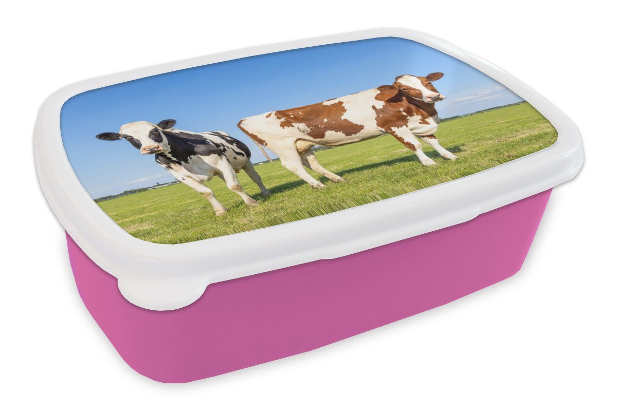 Erwachsene, - Brotdose Kühe - - für Lunchbox Snackbox, Gras Mädchen, Kinder, Kunststoff (2-tlg), Tiere, - Brotbox Kunststoff, Bauernhof rosa Natur MuchoWow