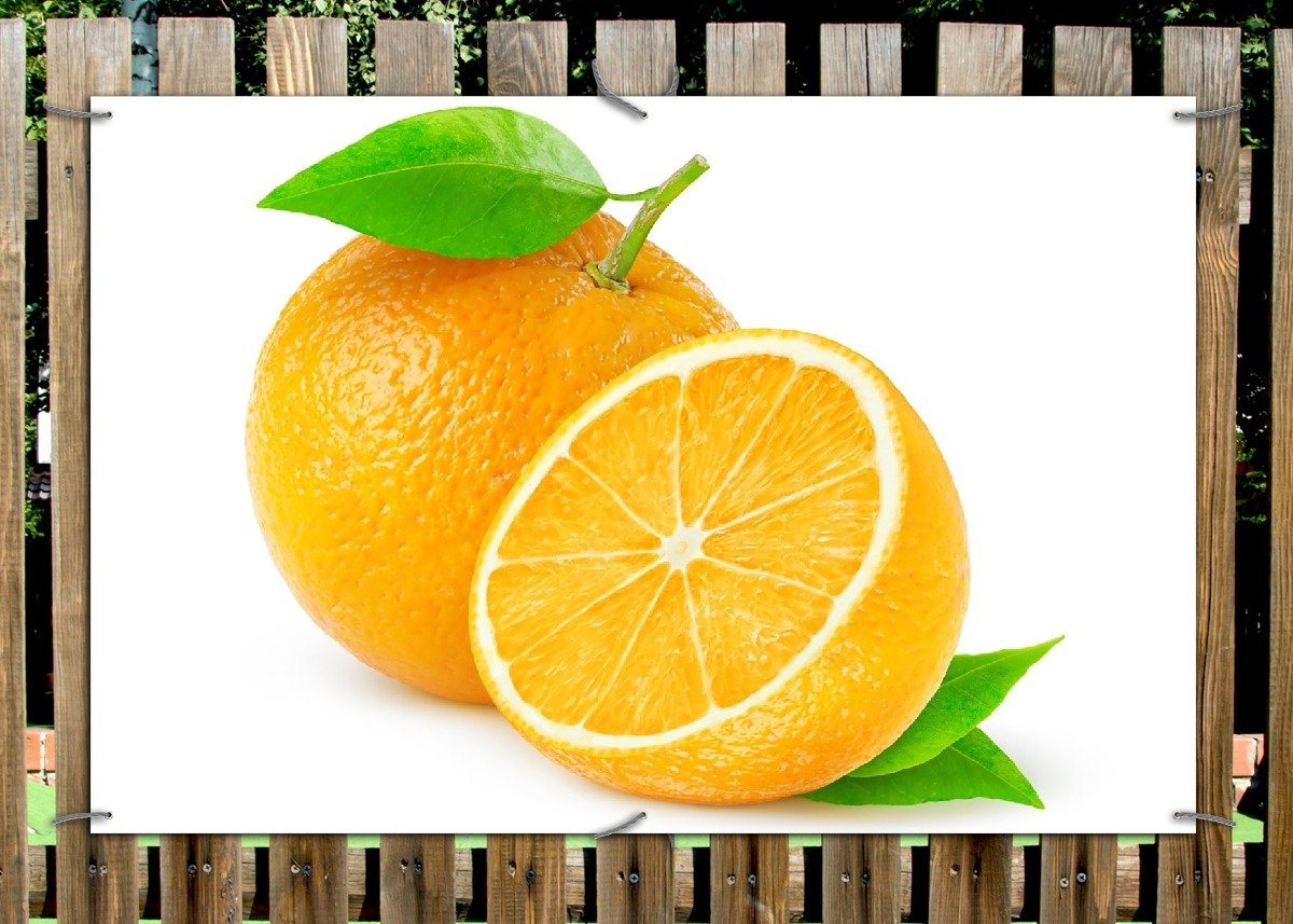 Thumbnail - Wallario Sichtschutzzaunmatten Saftige Orangen vor weißem Hintergrund