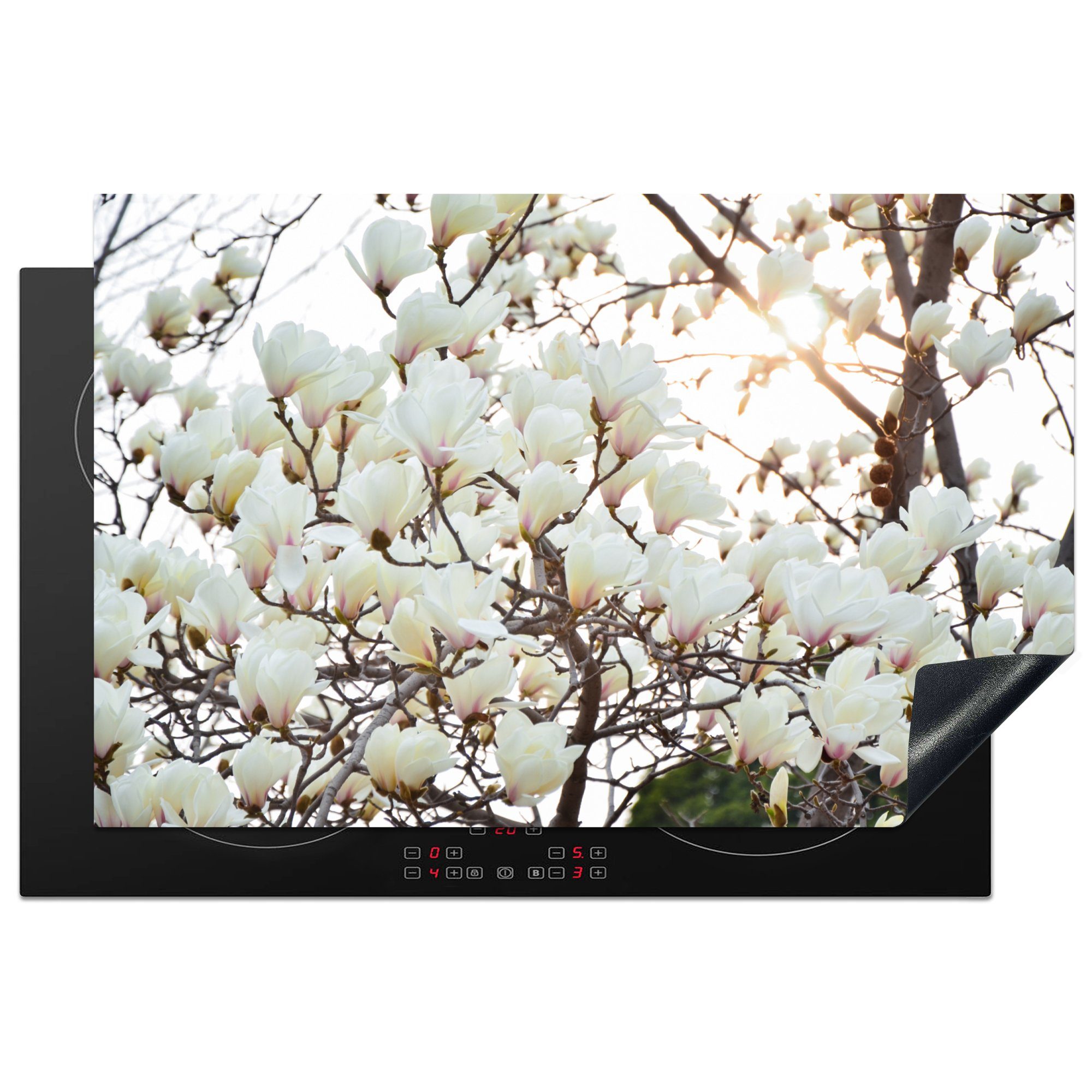MuchoWow Herdblende-/Abdeckplatte Weiße Magnolienblüten in voller Blüte, Vinyl, (1 tlg), 81x52 cm, Induktionskochfeld Schutz für die küche, Ceranfeldabdeckung