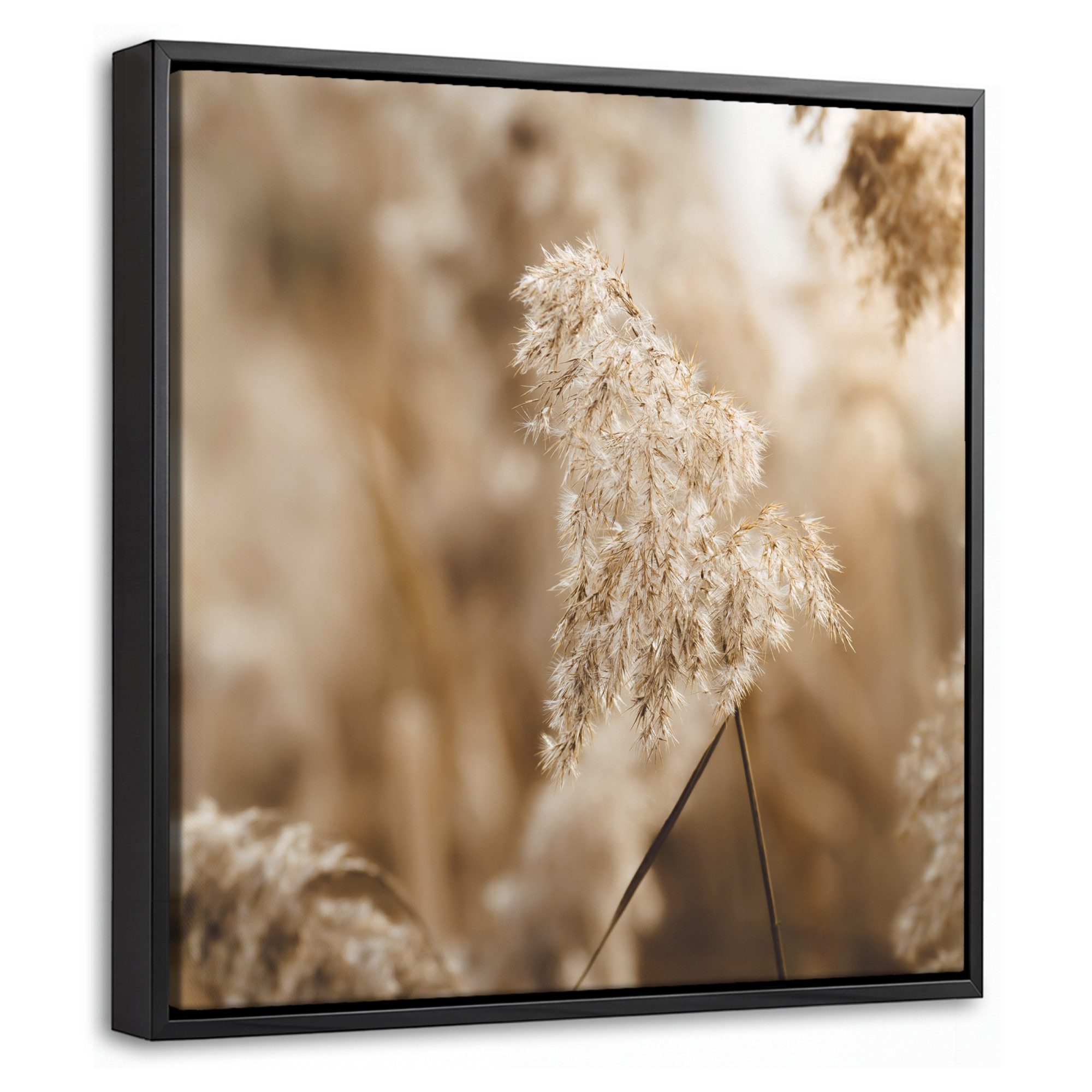 OneMillionCanvasses® Leinwandbild mit Rahmen - Schilfrohr - Pflanze - Natur - Beige, Fotodruck (1 St), Leinwand Bilder Klein, Wand Dekoration Aesthetic 20x20cm