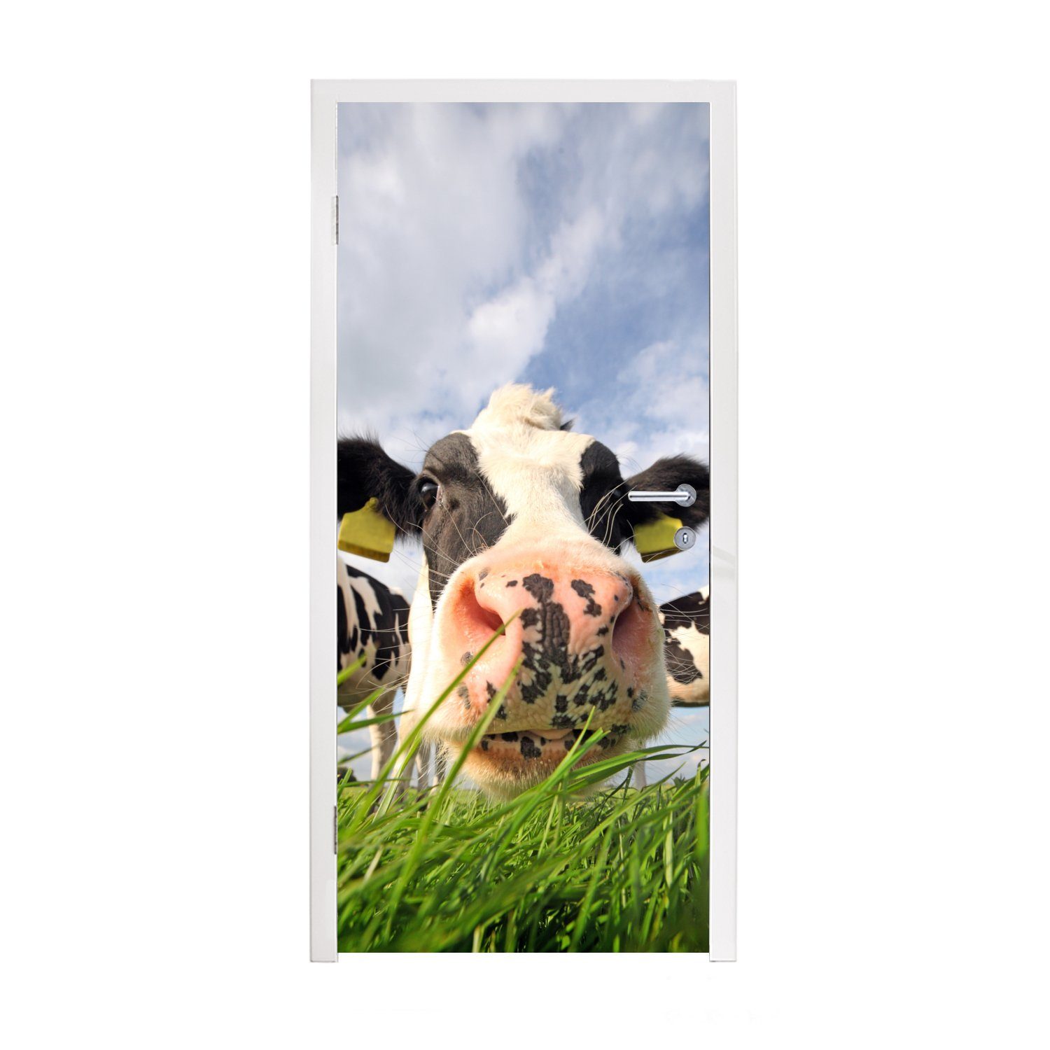 MuchoWow Türtapete Kuh - Bauernhof - Gras - Tiere, Matt, bedruckt, (1 St), Selbstklebende Tapete, Folie für Möbel, 75x205 cm