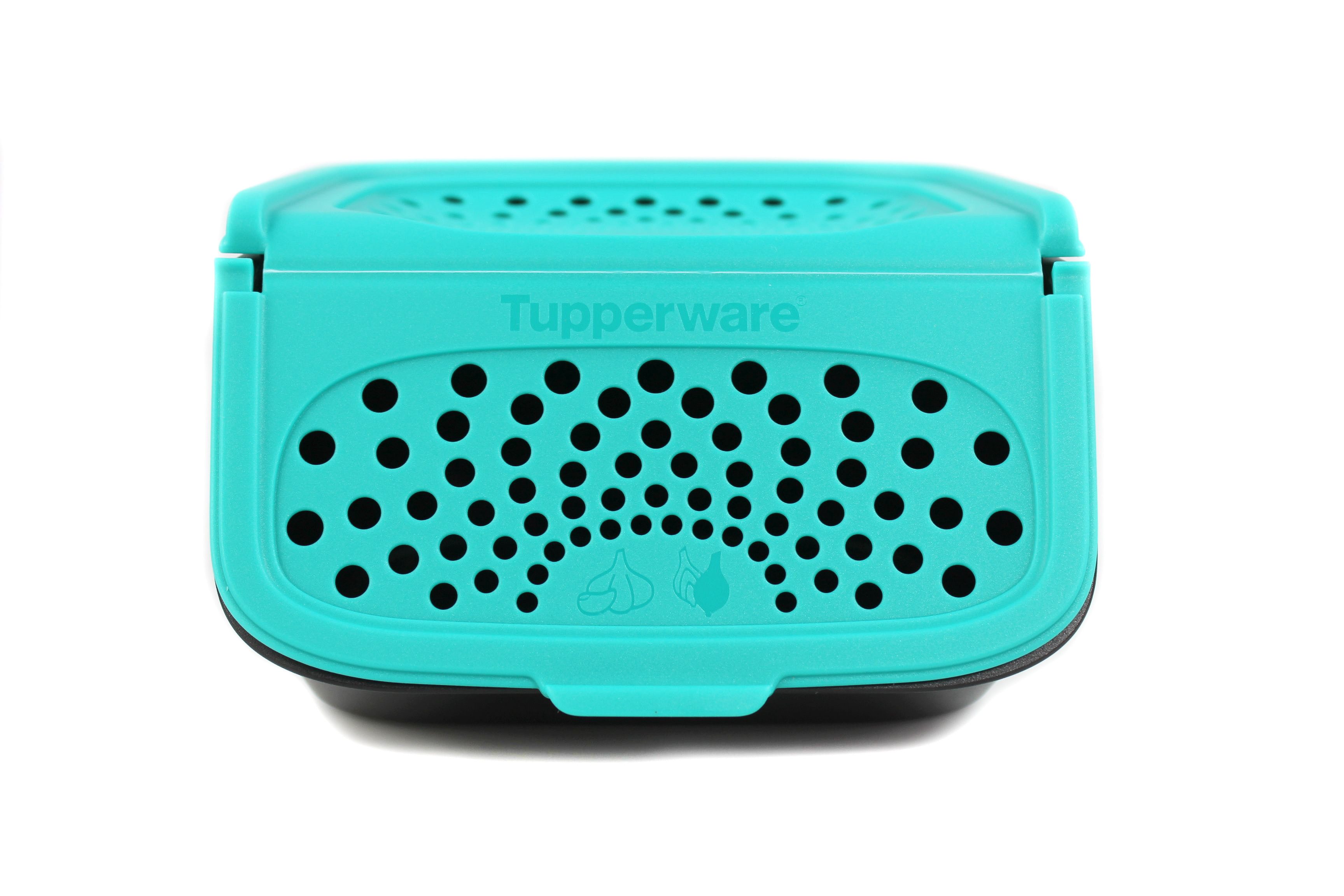 TUPPERWARE Vorratsdose Knoblauch-Lager 2,3 L schwarz türkis + SPÜLTUCH