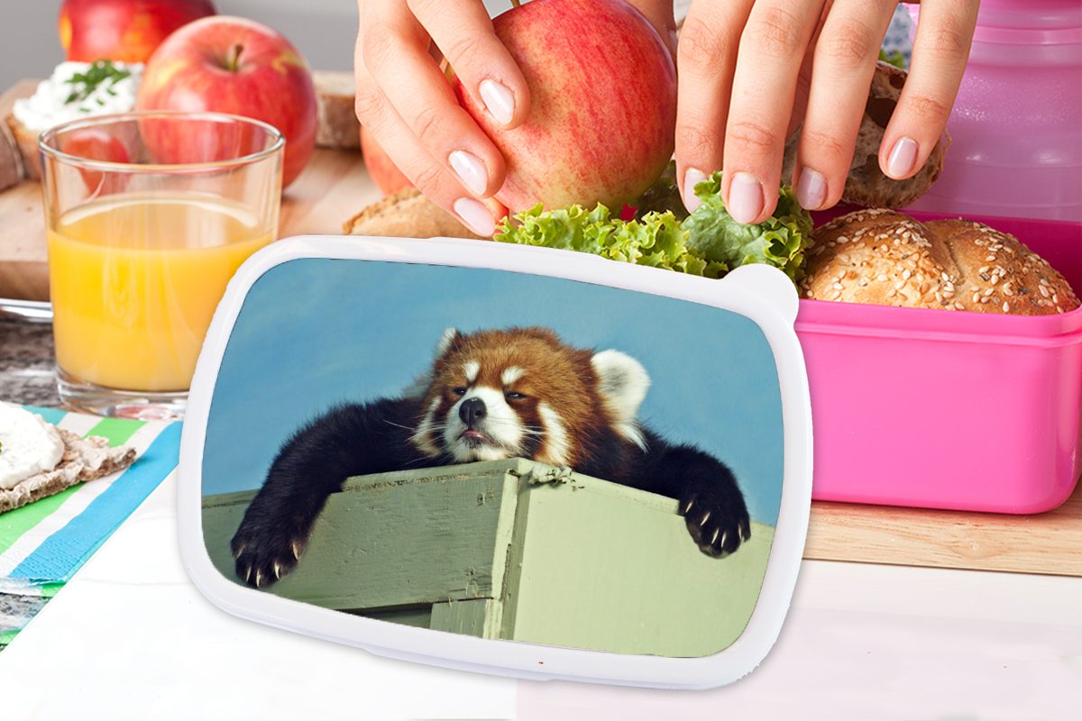 Erwachsene, rosa für MuchoWow Lunchbox Panda Kinder, - Kunststoff - Brotbox Snackbox, Kunststoff, Mädchen, Holz Brotdose Rot, (2-tlg),