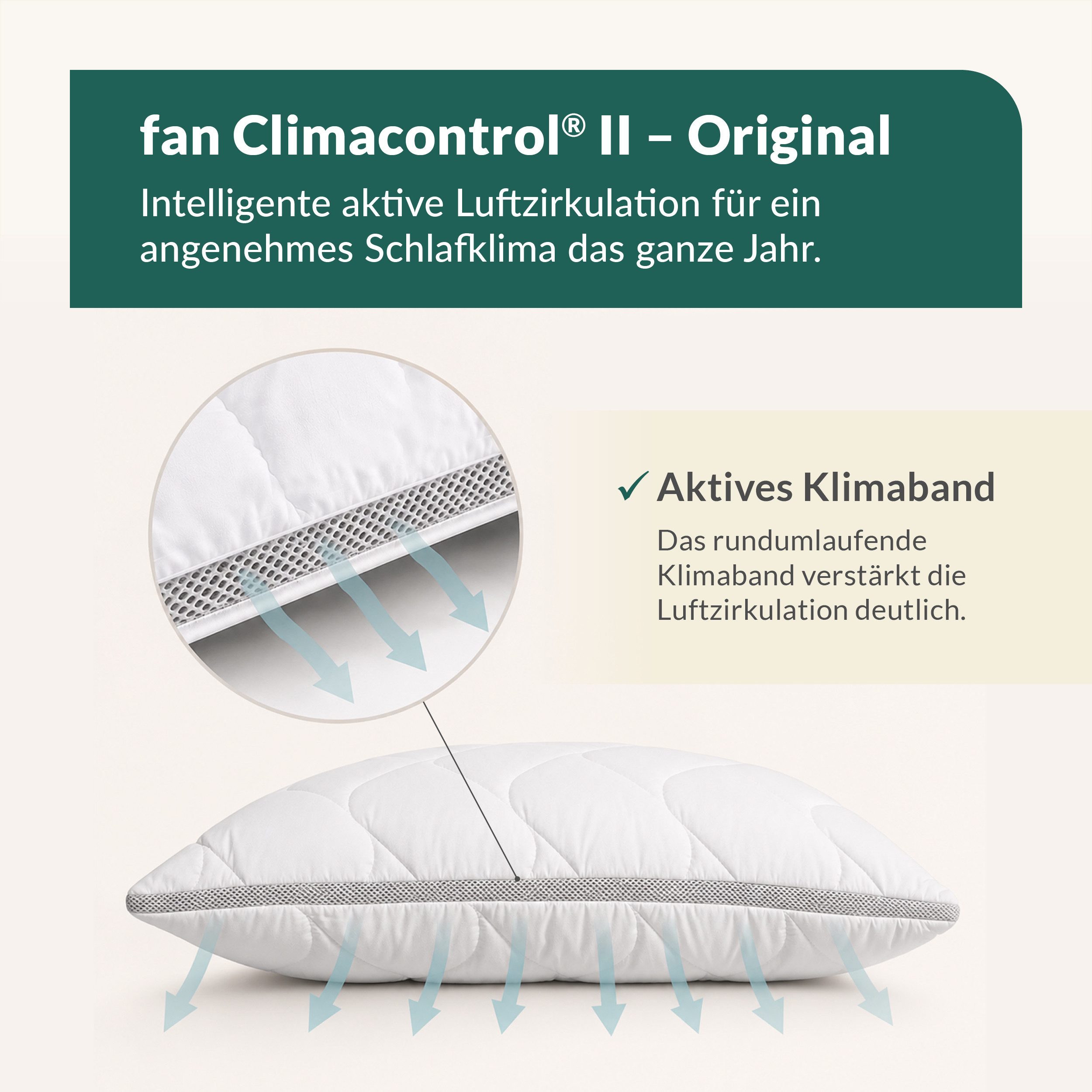 fan Microfaserkissen Climacontrol® II m. Baumwollbezug, Bezug: 100% Baumwolle, Microfaserkopfkissen mit Lüftungsband, 40x80 oder 80x80 cm erhältlich – Bild 2 von 5