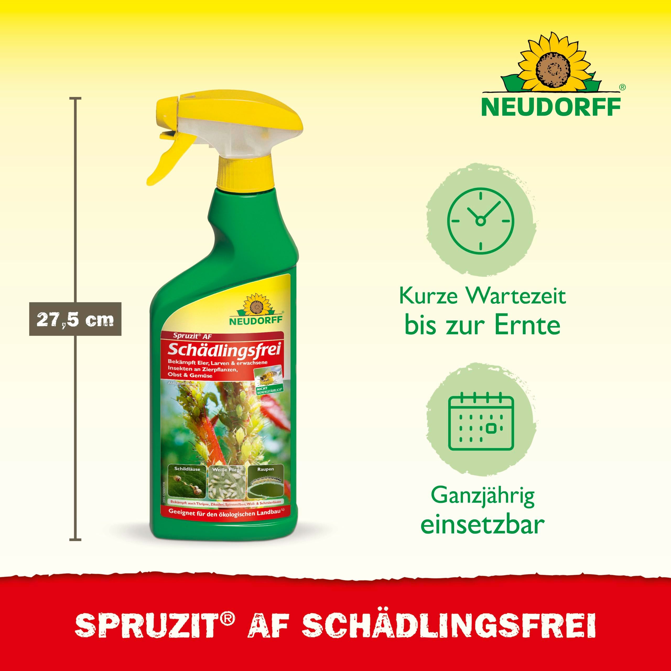 Neudorff Insektenspray Spruzit AF Schädlingsfrei 500 ml, 500 ml, Einsetzbar an Zierpflanzen, Gemüse, Obst und Kräutern, Schädlinge: Buchsbaumzünsler, Blattläuse, Thripse biologisch bekämpfen