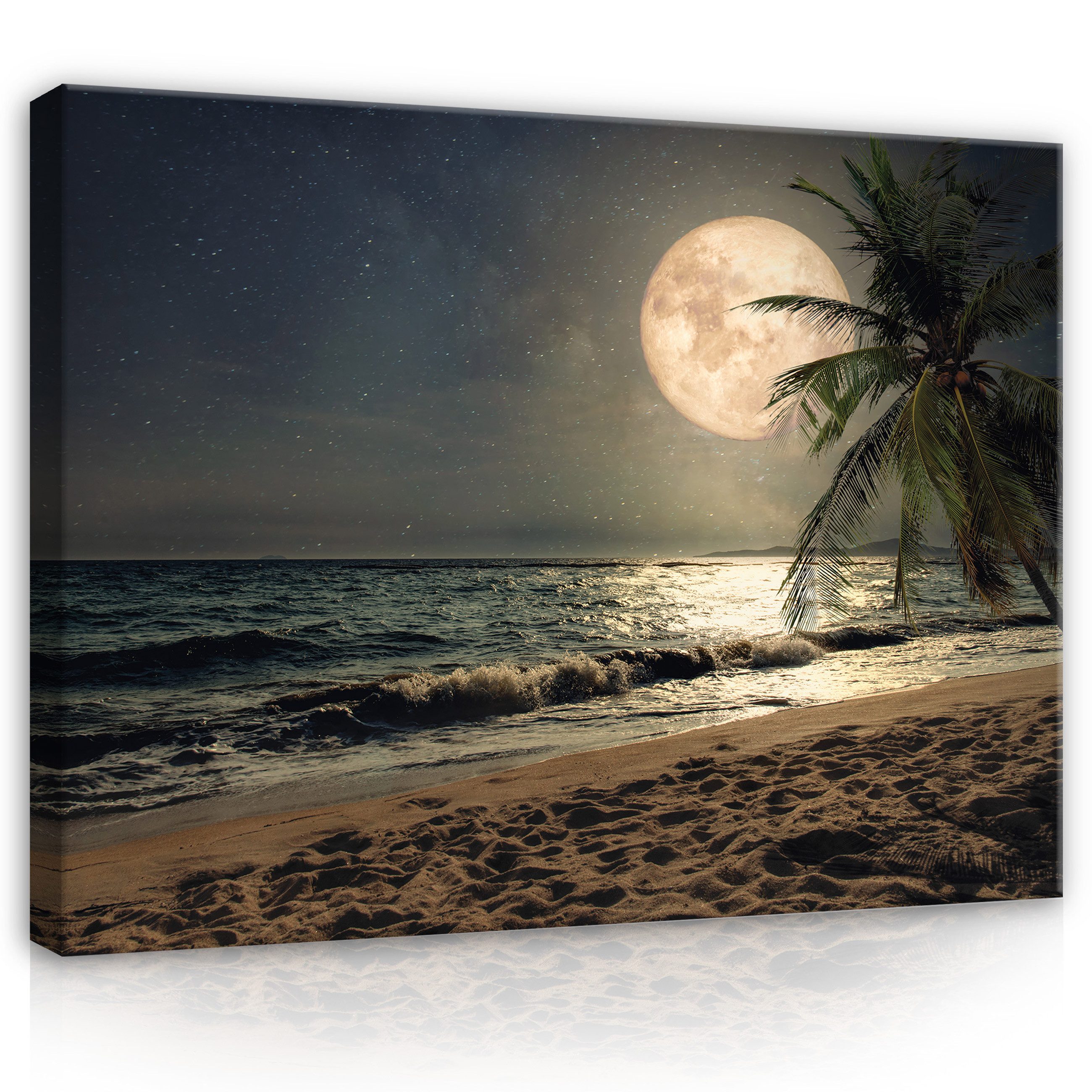 Wallarena Leinwandbild Strand Meer Palmen Nacht günstig online kaufen