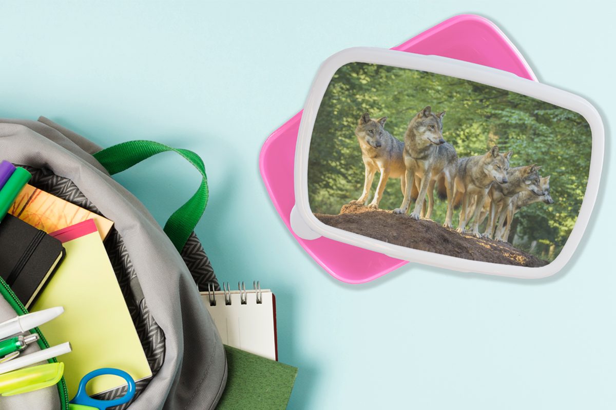 (2-tlg), Kunststoff Kinder, Wald, Snackbox, - Erwachsene, Brotdose für - Kunststoff, Lunchbox rosa Braun MuchoWow Wolf Brotbox Mädchen,
