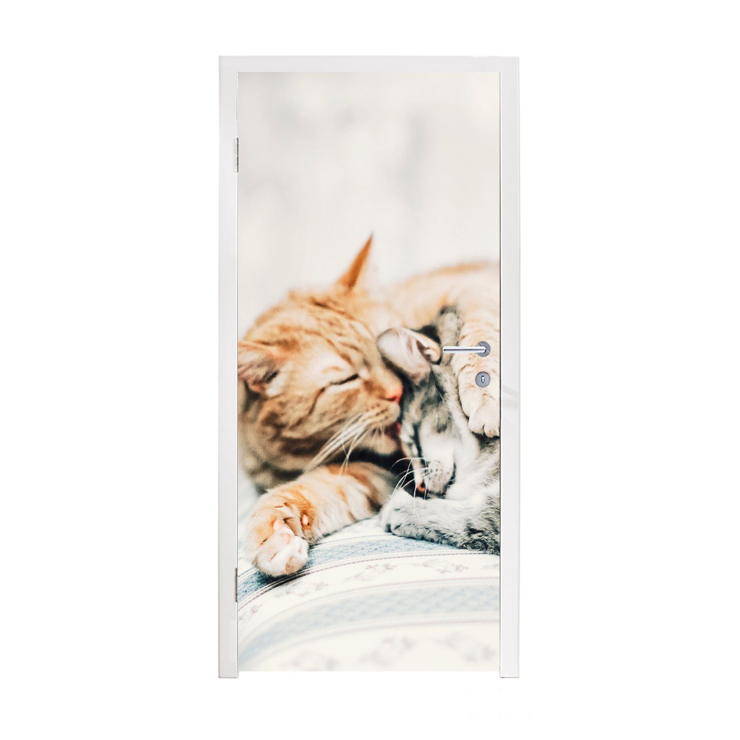 MuchoWow Türtapete Katzen - Sofa - Wohnzimmer, Matt, bedruckt, (1 St), Fototapete für Tür, Türaufkleber, 75x205 cm