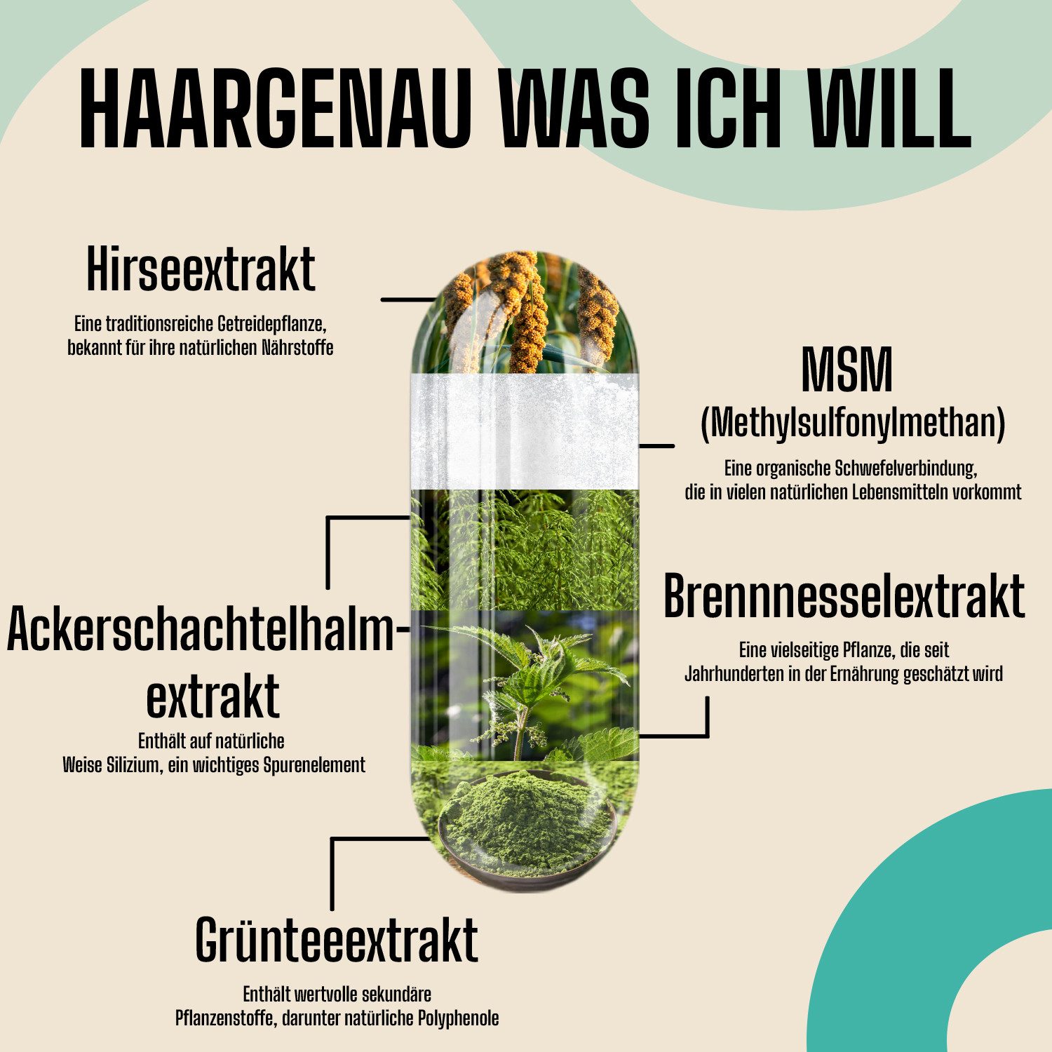 FSA NUTRITION Haar Vitamine hochdosiert mit Hirseextrakt, Ackerschachtelhalm Kapseln, 60 St., 30 g