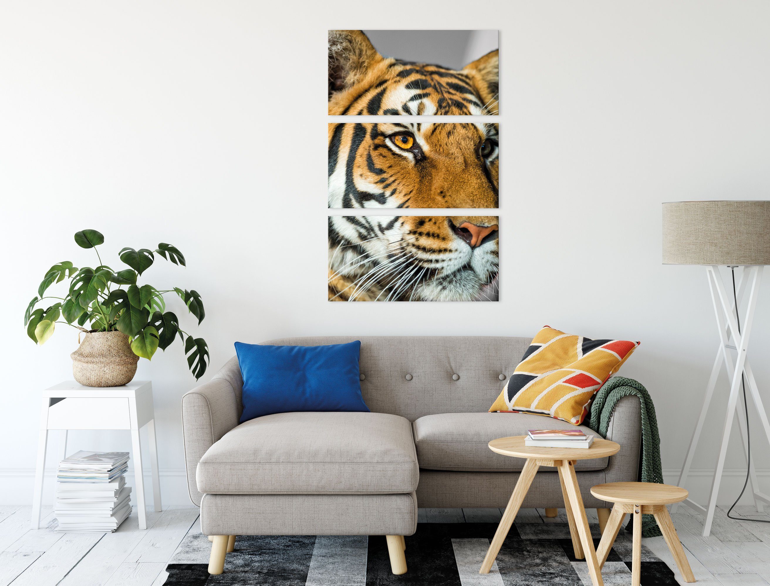 bespannt, Tiger 3Teiler Tiger, inkl. Zackenaufhänger bildschöner bildschöner Pixxprint (120x80cm) (1 St), fertig Leinwandbild Leinwandbild