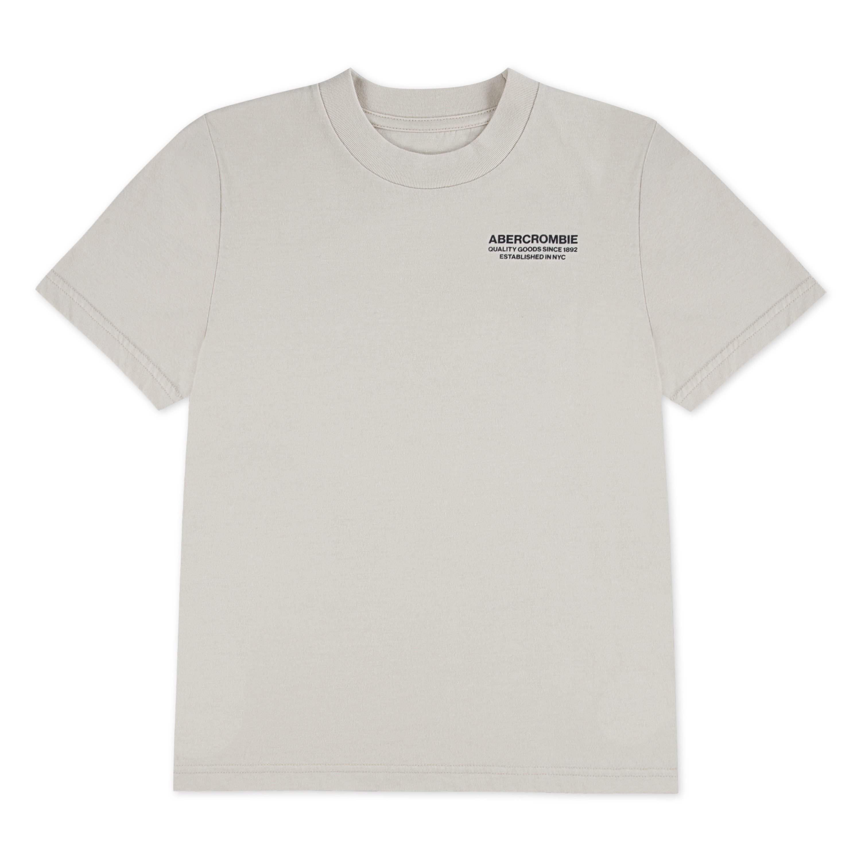 Abercrombie Kids Rundhalsshirt AFB BANK SHOT TEE mit großen Rückenprint, für Boys