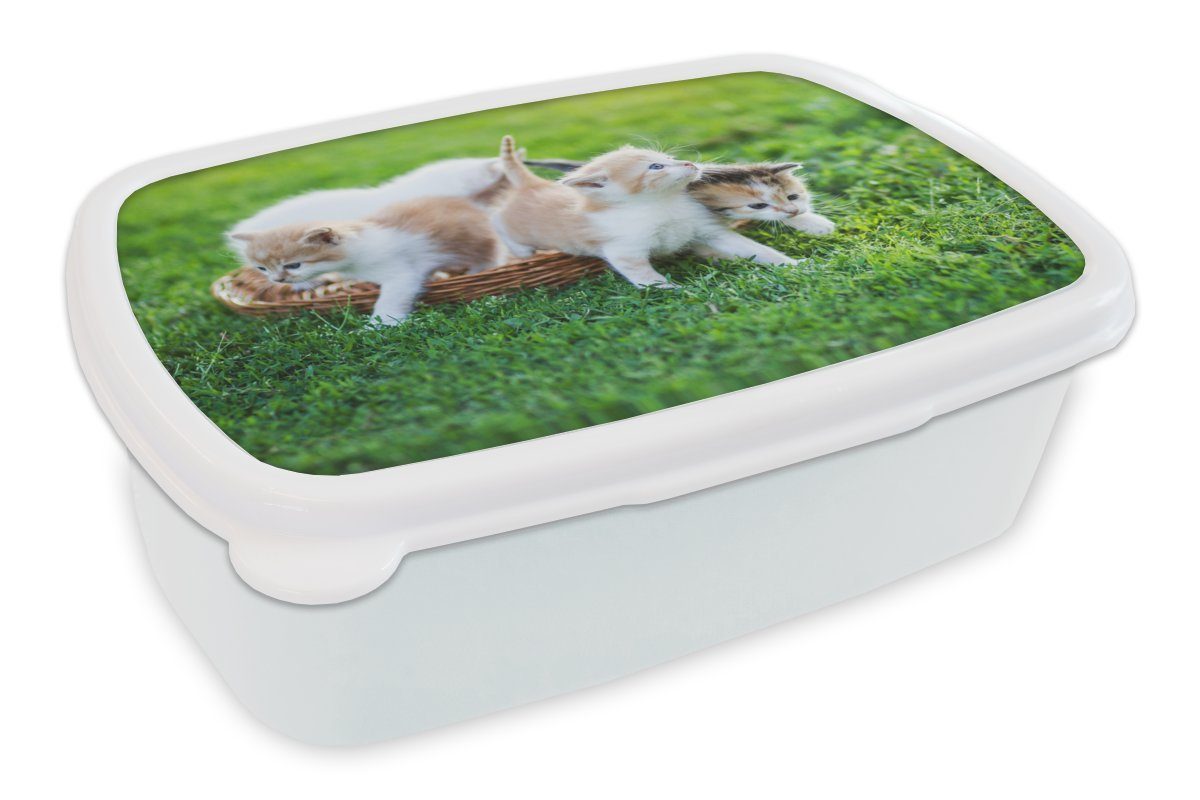 MuchoWow Lunchbox Kätzchen - Katze - Korb - Mädchen - Kinder - Jungen - Kinder, Kunststoff, (2-tlg), Brotbox für Kinder und Erwachsene, Brotdose, für Jungs und Mädchen weiß