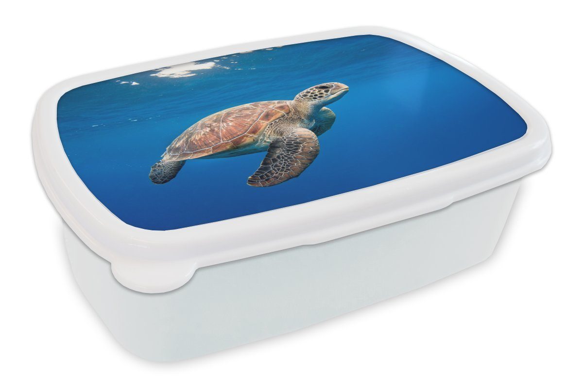 MuchoWow Lunchbox Schildkröte im Ozean, Kunststoff, (2-tlg), Brotbox für Kinder und Erwachsene, Brotdose, für Jungs und Mädchen weiß