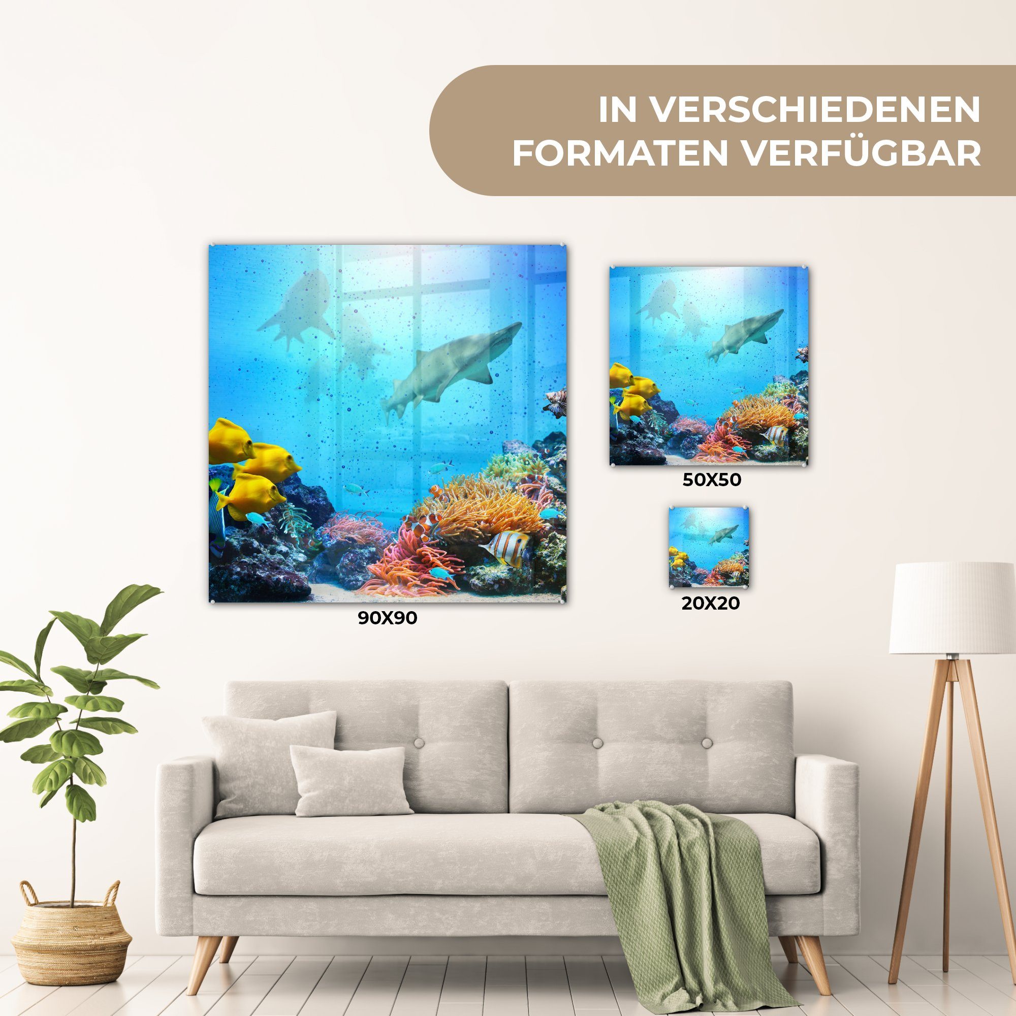 MuchoWow Acrylglasbild Meer - Wandbild St), - Wanddekoration auf Fische Bilder Farben, Glas Glas auf - (1 Glasbilder - Foto 