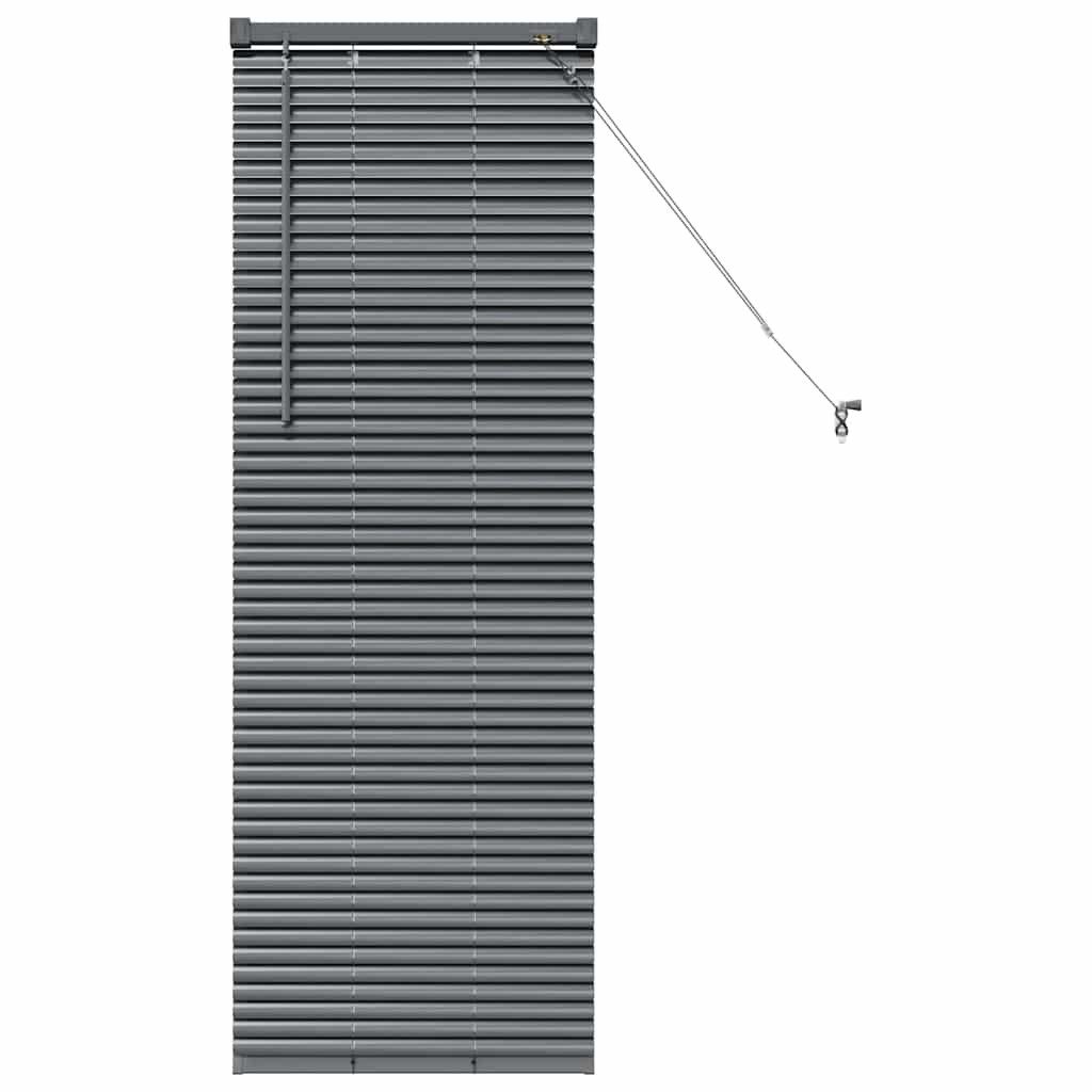 Rollo Fensterjalousie mit Vorhängen Dunkelgrau Aluminium, günstig online kaufen