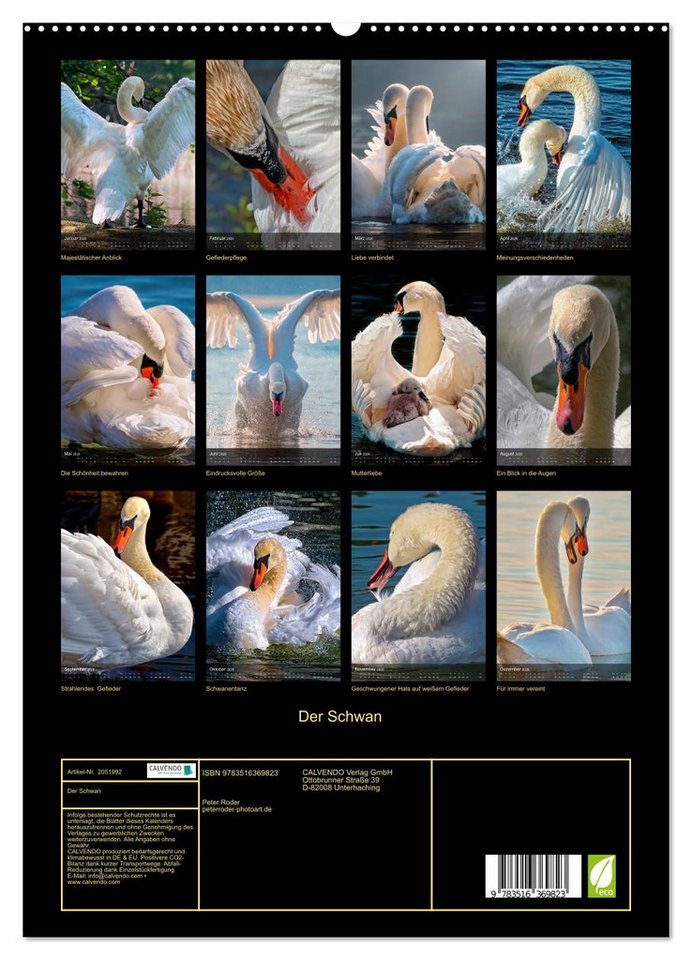 Thumbnail - CALVENDO Wandkalender Der Schwan (Wandkalender 2026 DIN A2 hoch), CALVENDO Monatskalender