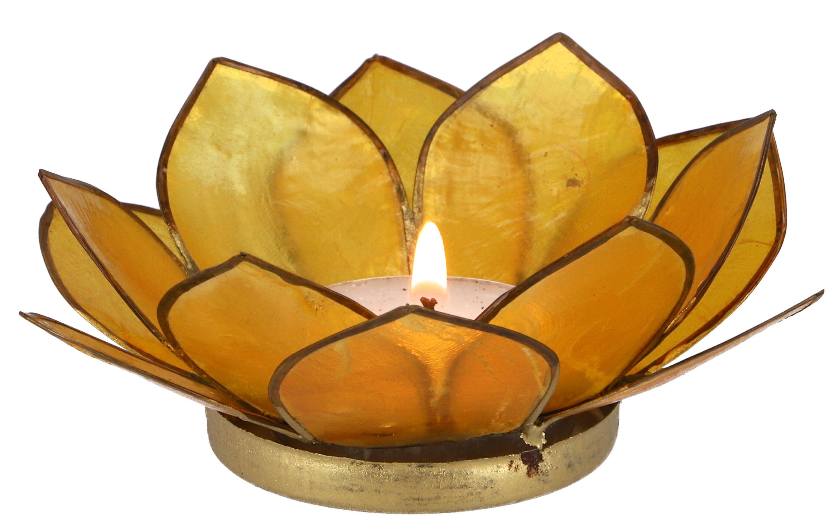 Guru-Shop Windlicht Lotus Teelicht Muschel 11*4 cm - goldgelb
