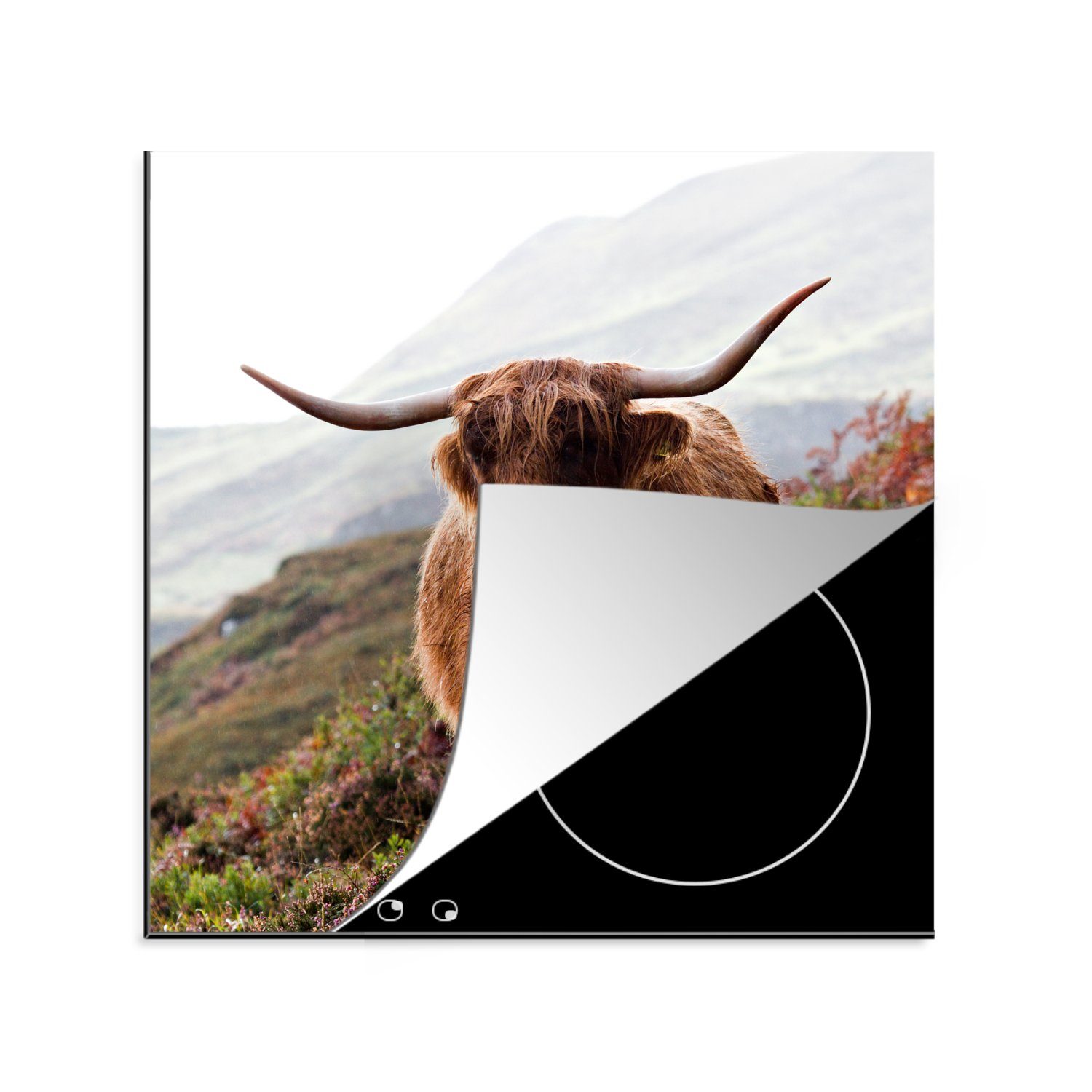 MuchoWow Herdblende-/Abdeckplatte Schottischer Highlander auf der Isle of Skye, Vinyl, (1 tlg), 78x78 cm, Ceranfeldabdeckung, Arbeitsplatte für küche