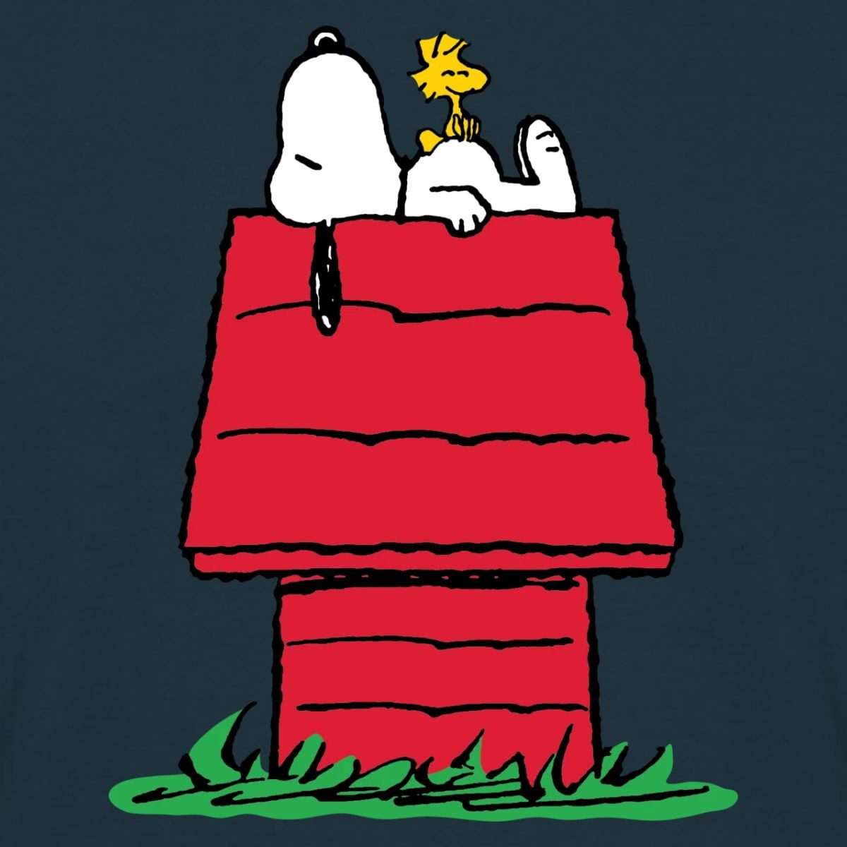 Spreadshirt T-Shirt Peanuts Snoopy Und Die Hundehütte Männer T-Shirt (1-tlg)
