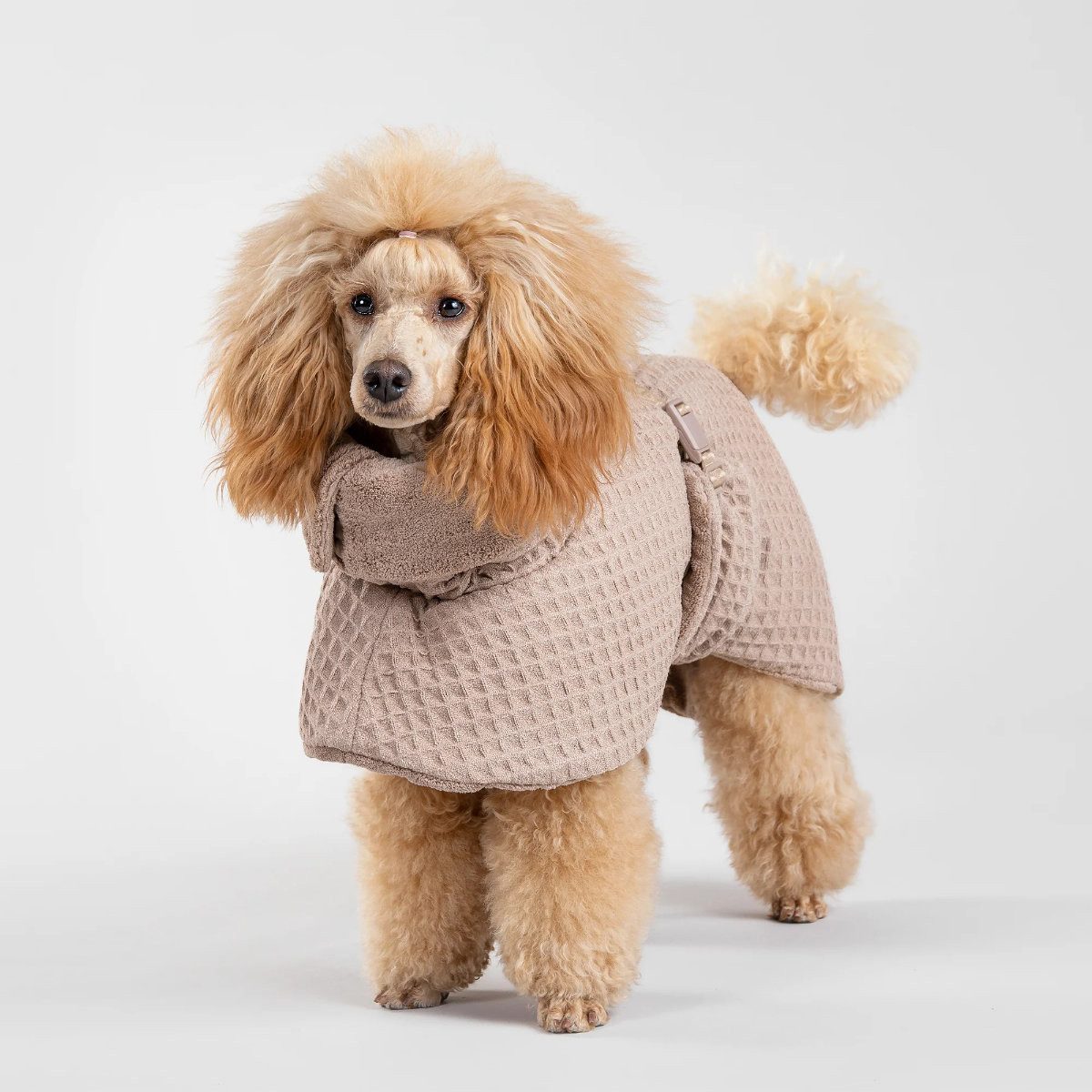 PAIKKA Hundebademantel Hunde Bademantel "Drying Coat Spa" taupe